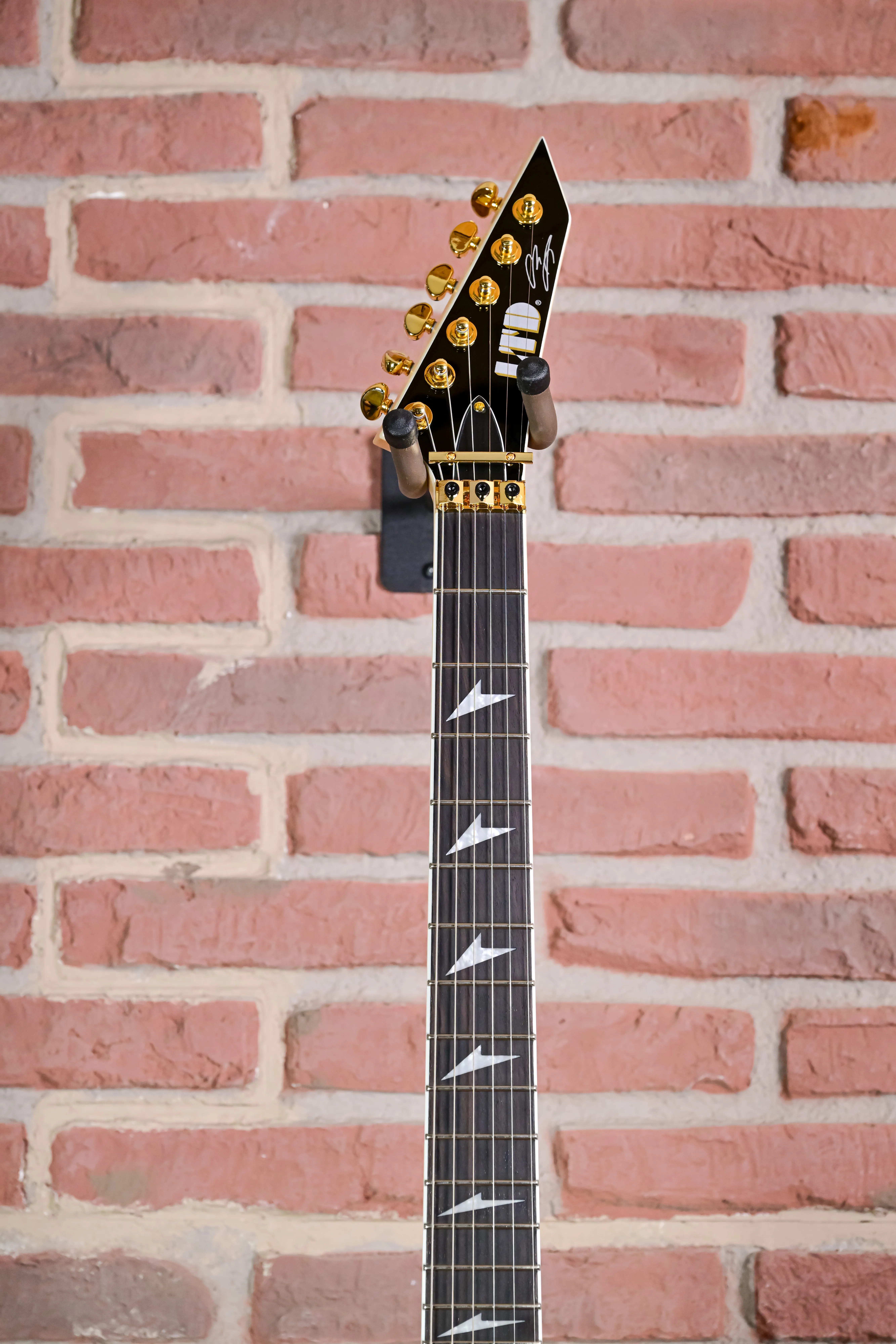 Alexi Laiho Arrowhead SE 20th Anniversary