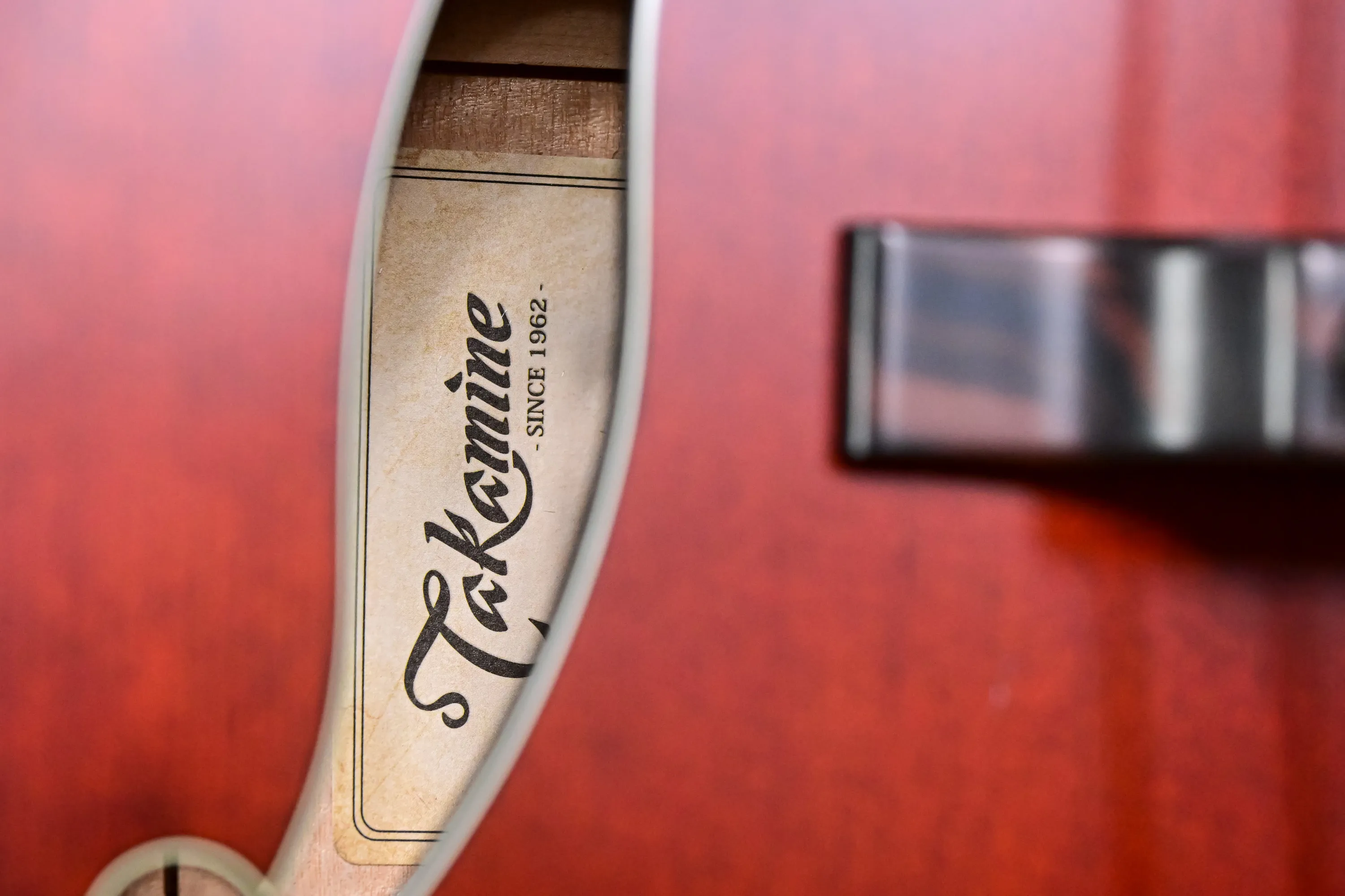 TB10 Fretless Akustik Bass