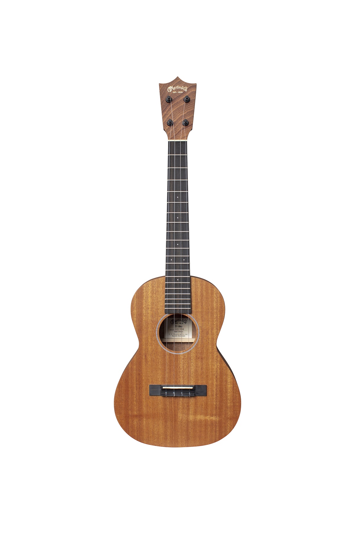 T1-UKE-FSC 