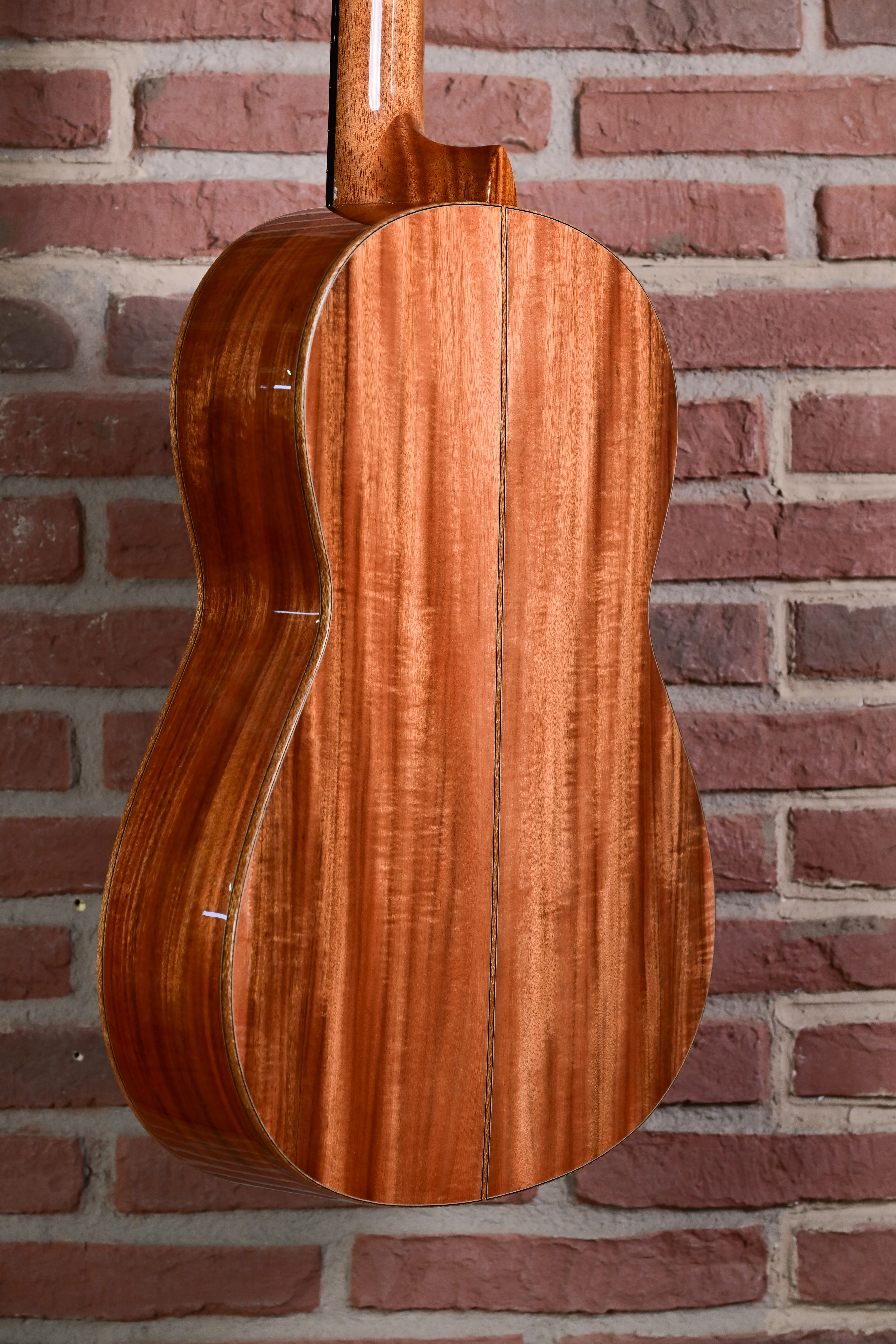 Rosa Artista RA Flamencogitarre