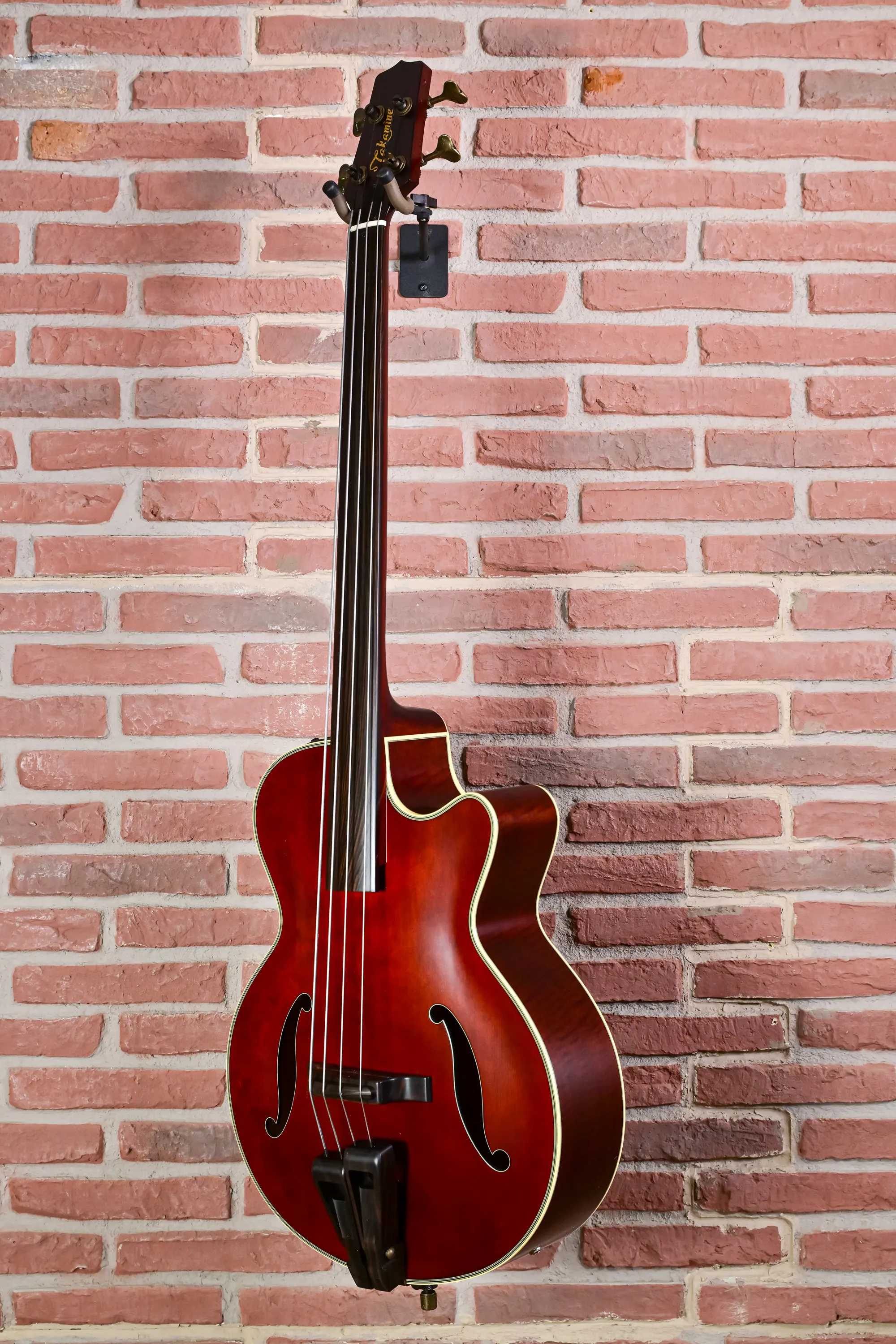 TB10 Fretless Akustik Bass