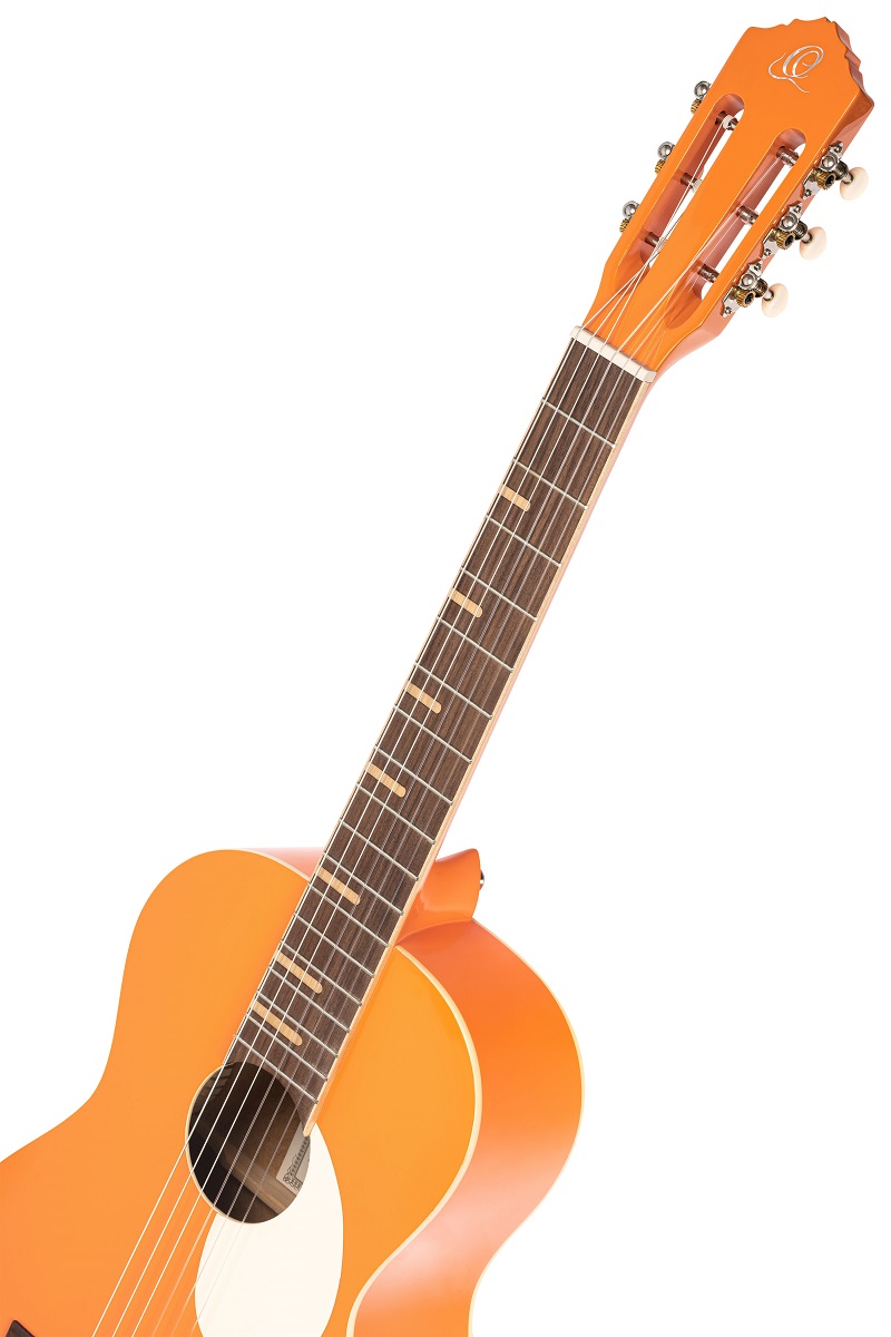 RGA-ORG Akustikgitarre Sky Blue + Bag