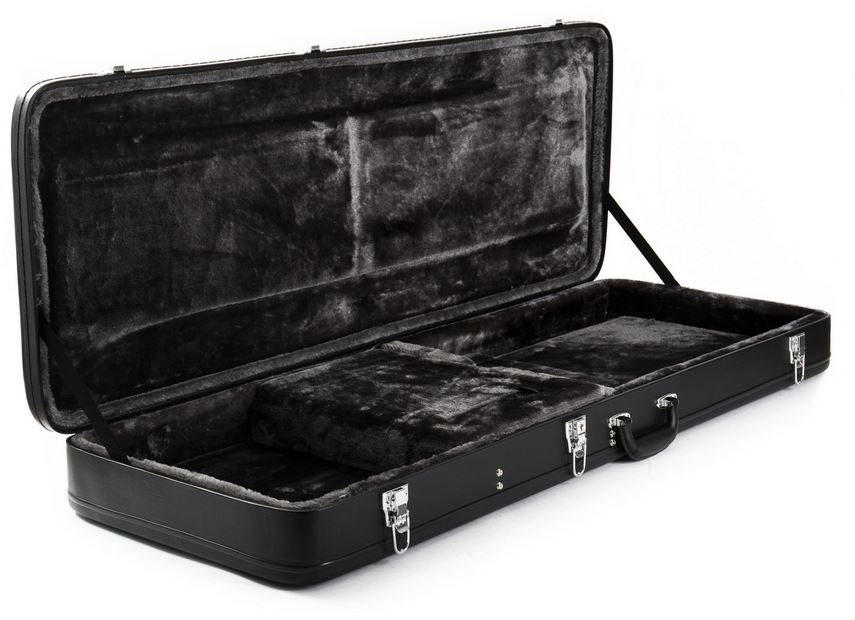 Case für Epiphone Firebird