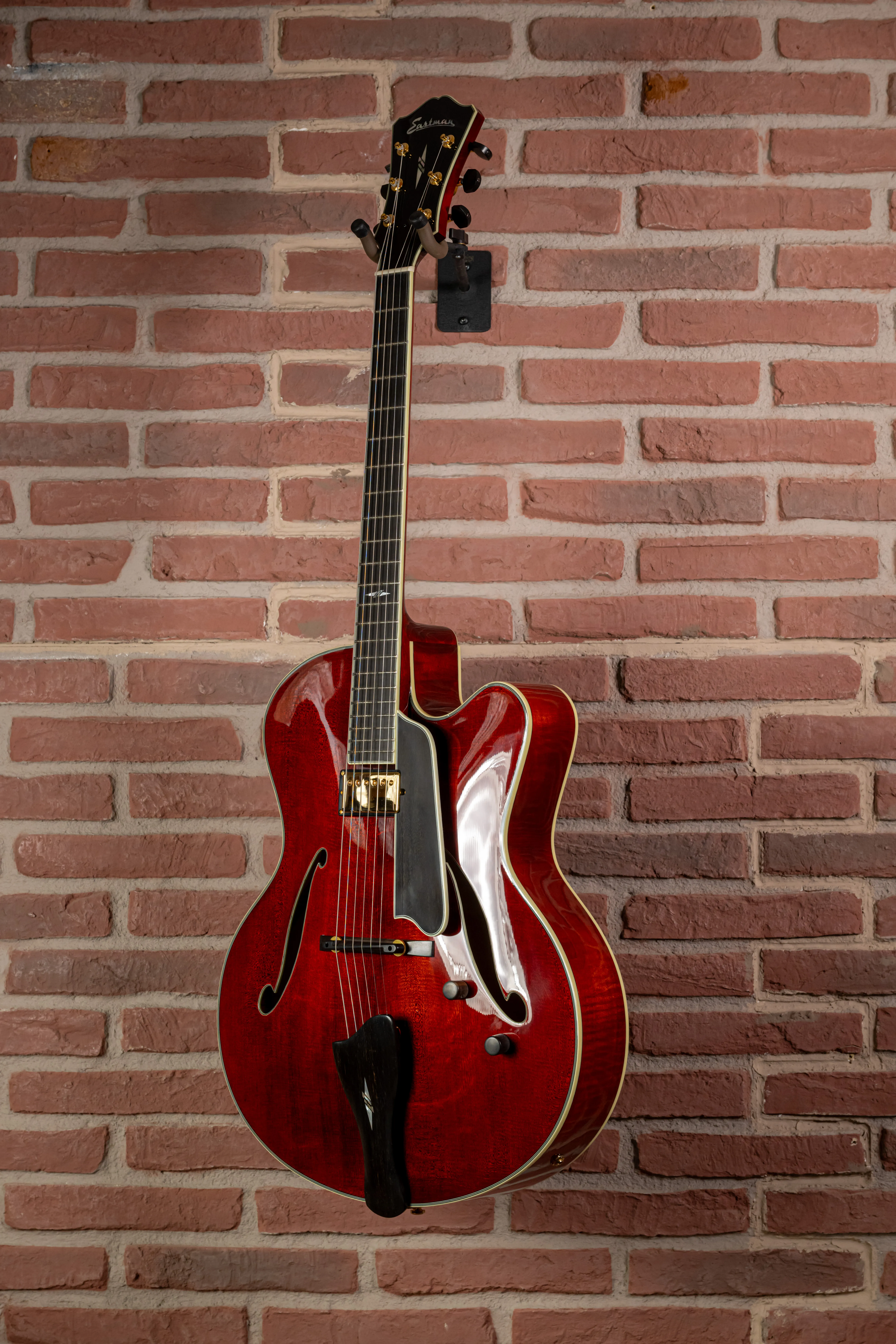 AR810CE Archtop Jazzgitarre