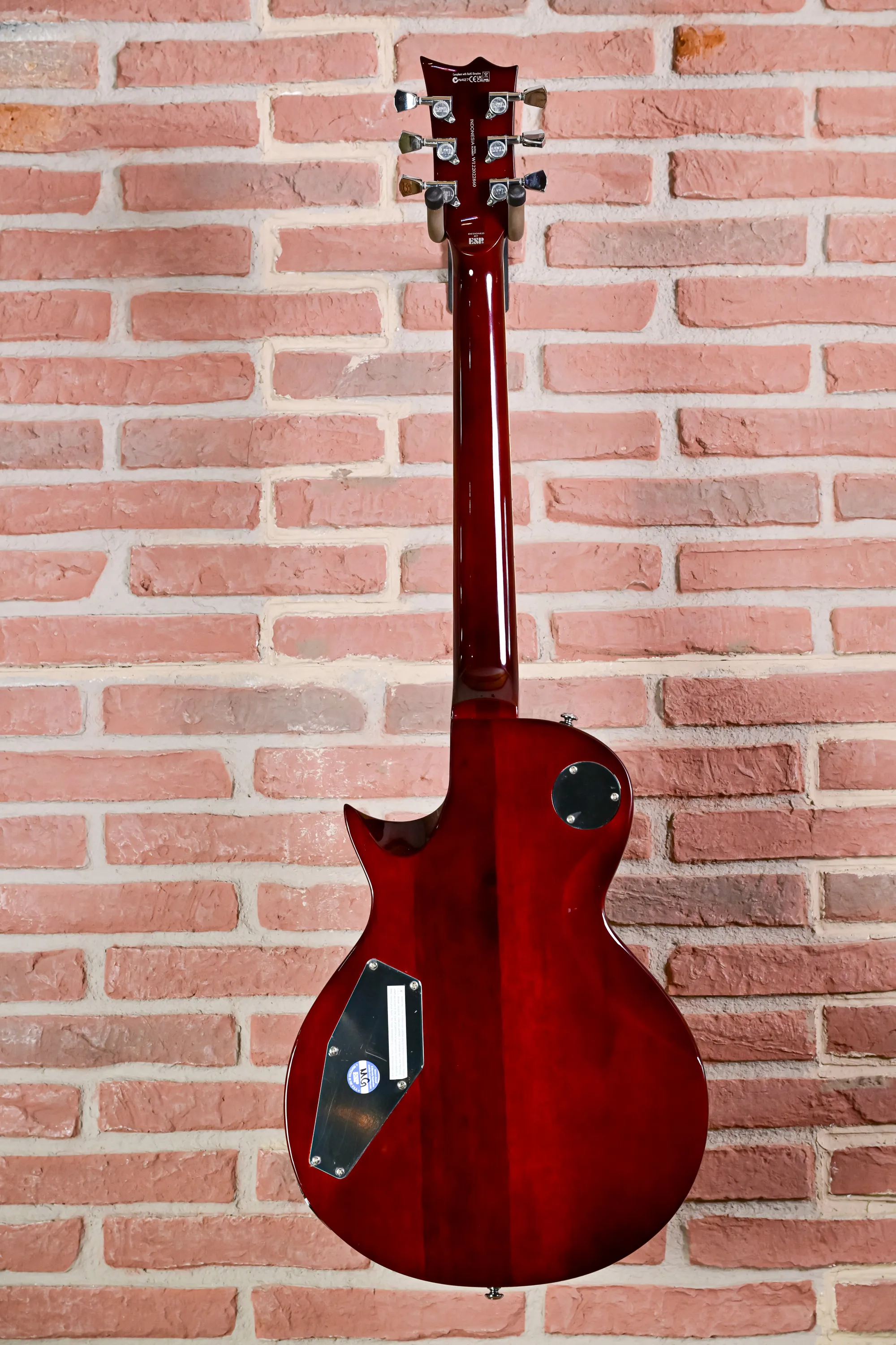 EC-256 Lemon Drop E-Gitarre (gebraucht)