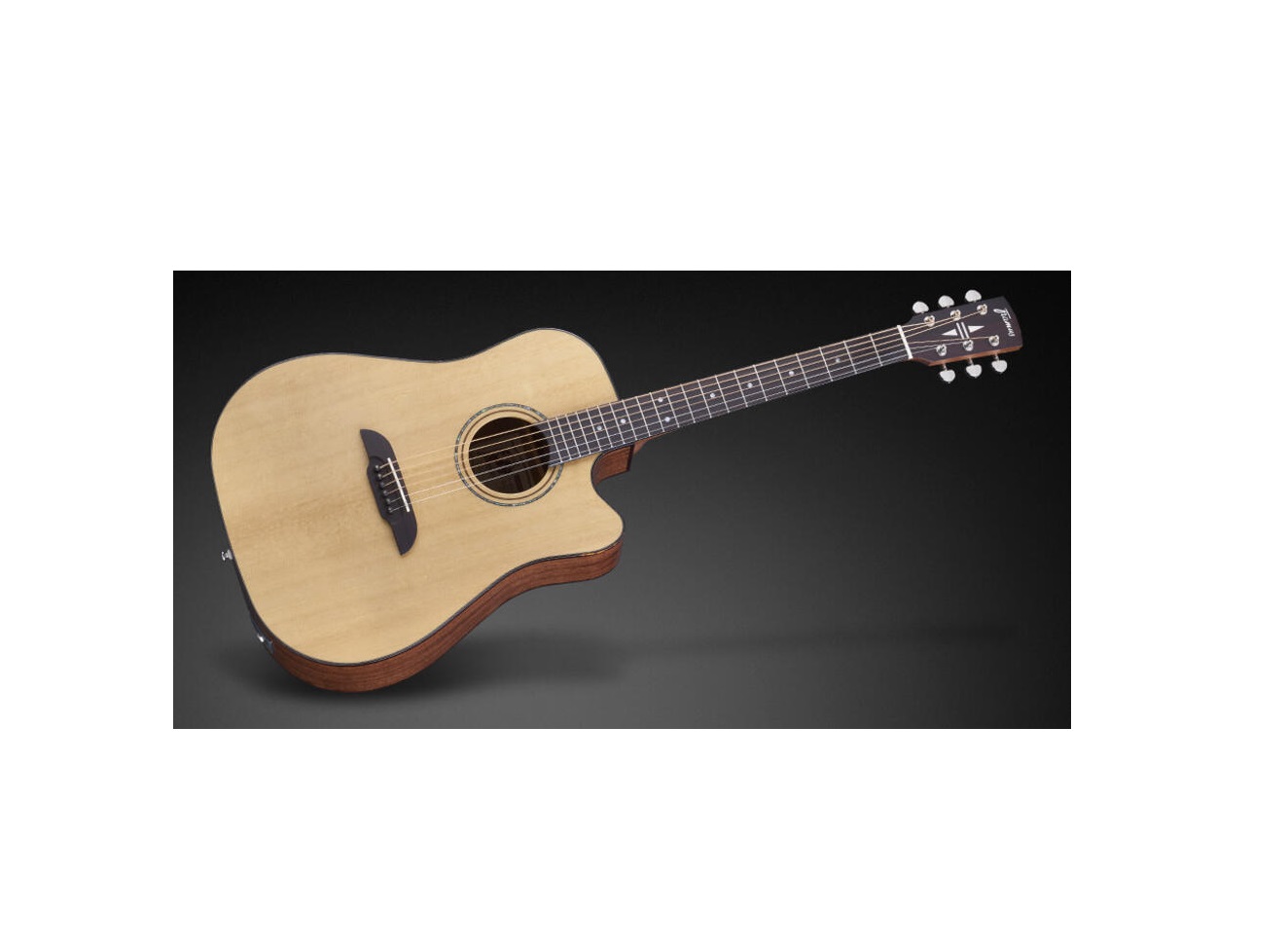 FD14 Dreadnought, Cutaway, EQ, Sitka Spruce, Mahogany, VNT "B-Stock"