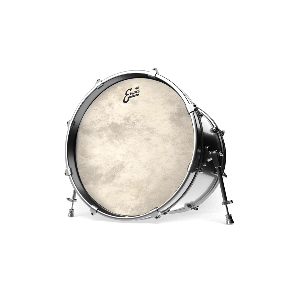 20" EQ4 Calftone - Bass Drum Fell