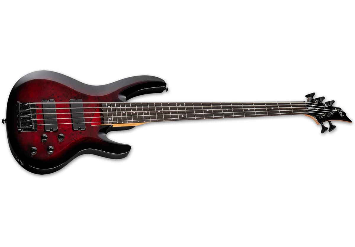 B-205DX Red Burst 5-String E-Bass