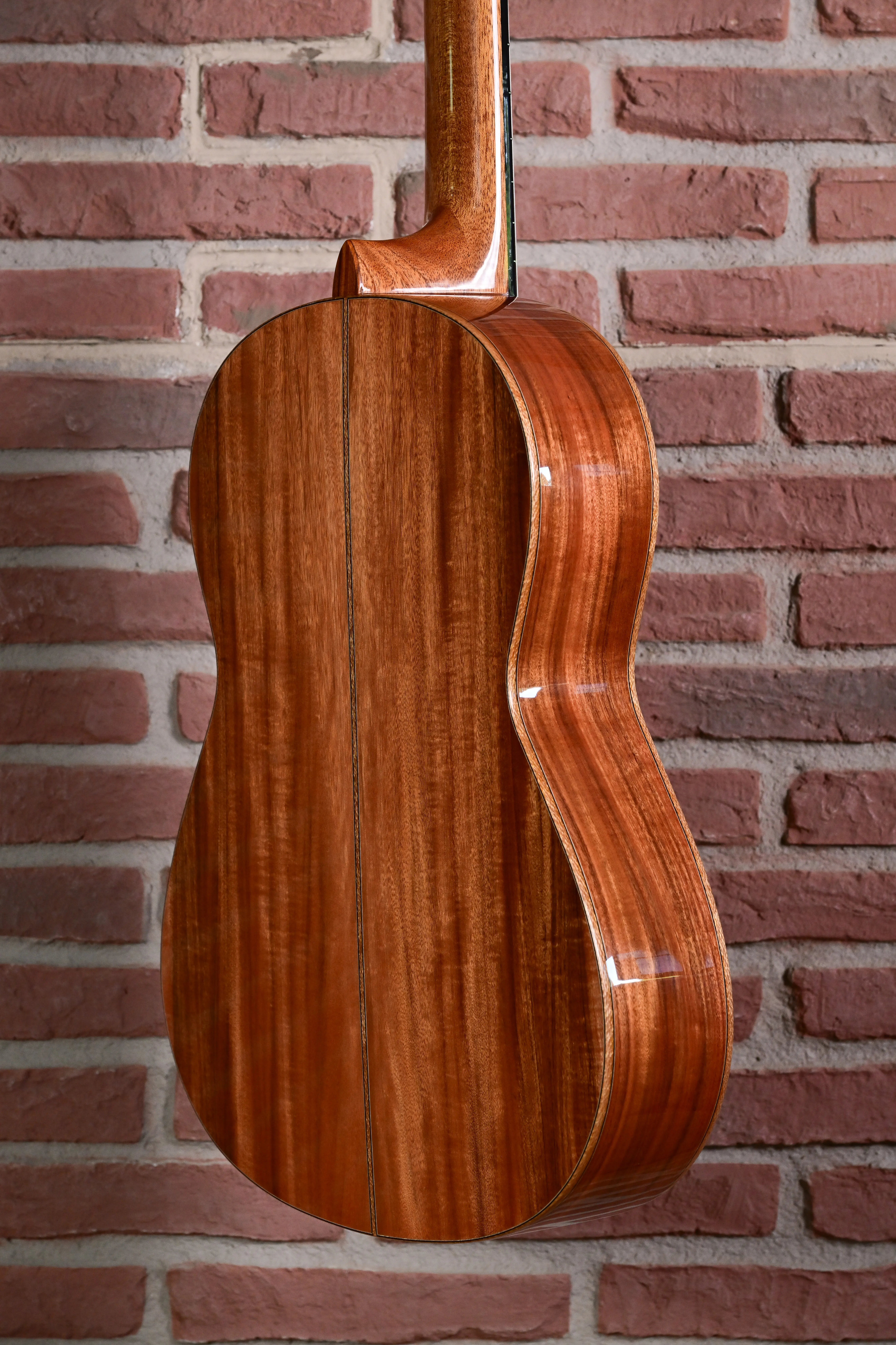 Rosa Artista RA Flamencogitarre