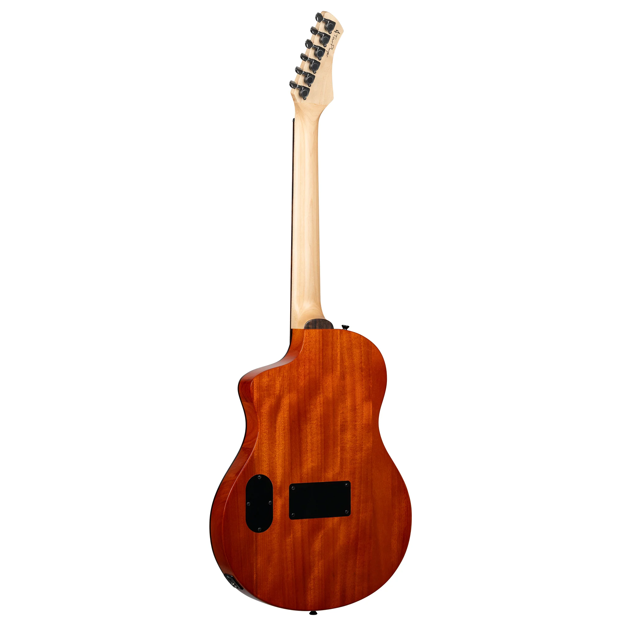 RTPG-LS2 TourPlayer Nylon String Electric-Acoustic