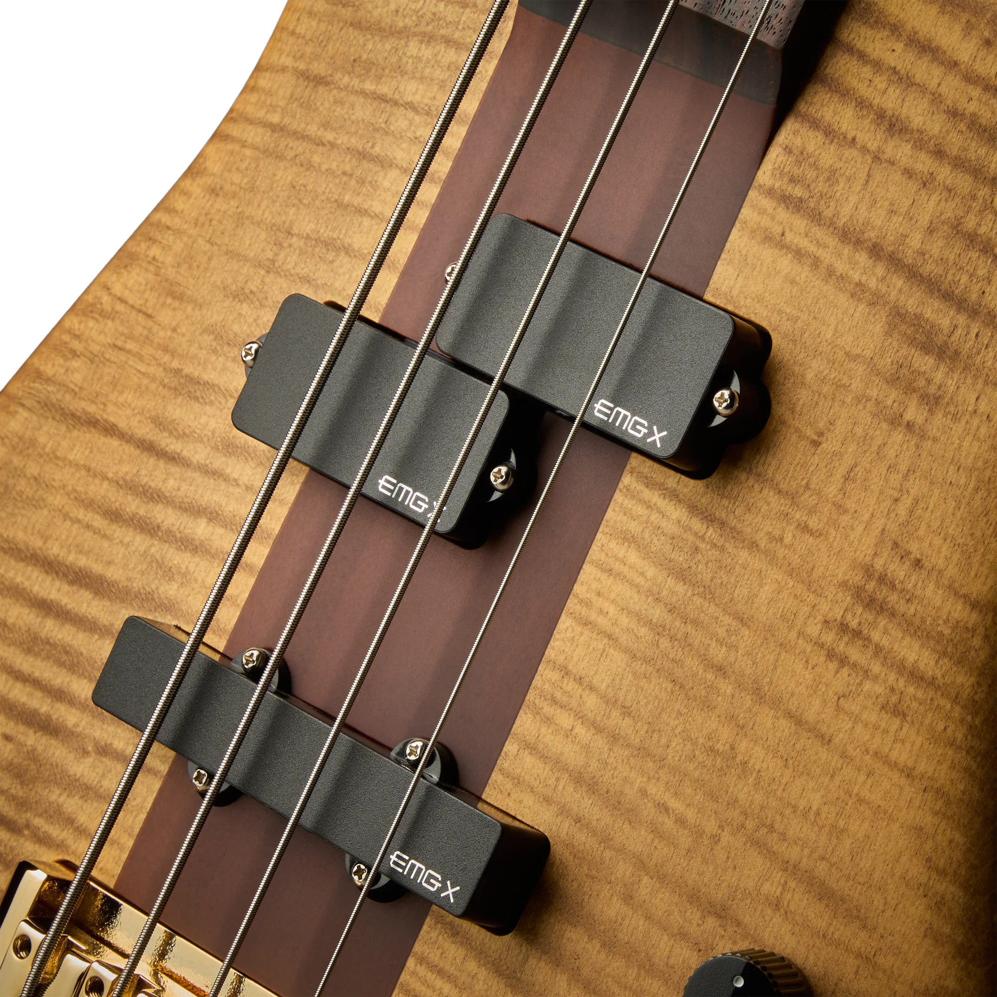 Euro Rex Brown 4 Desert Gold Bass