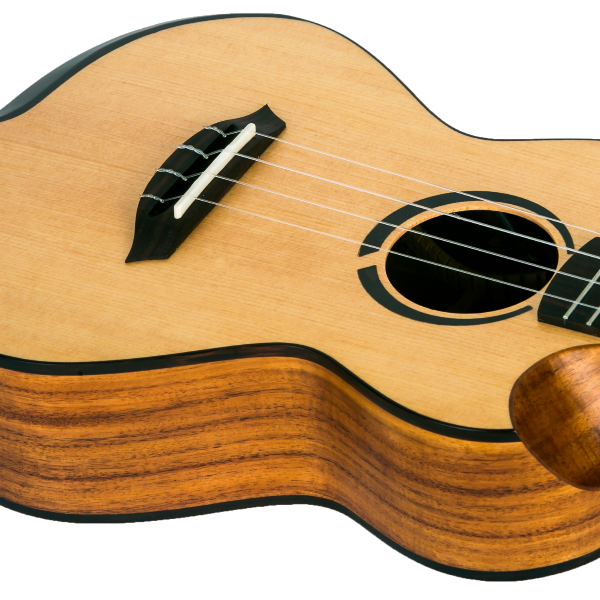 Victoria Soundwave Concert Ukulele