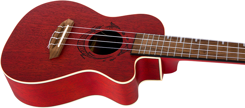 DUC380 CEQ Coral Concert Ukulele
