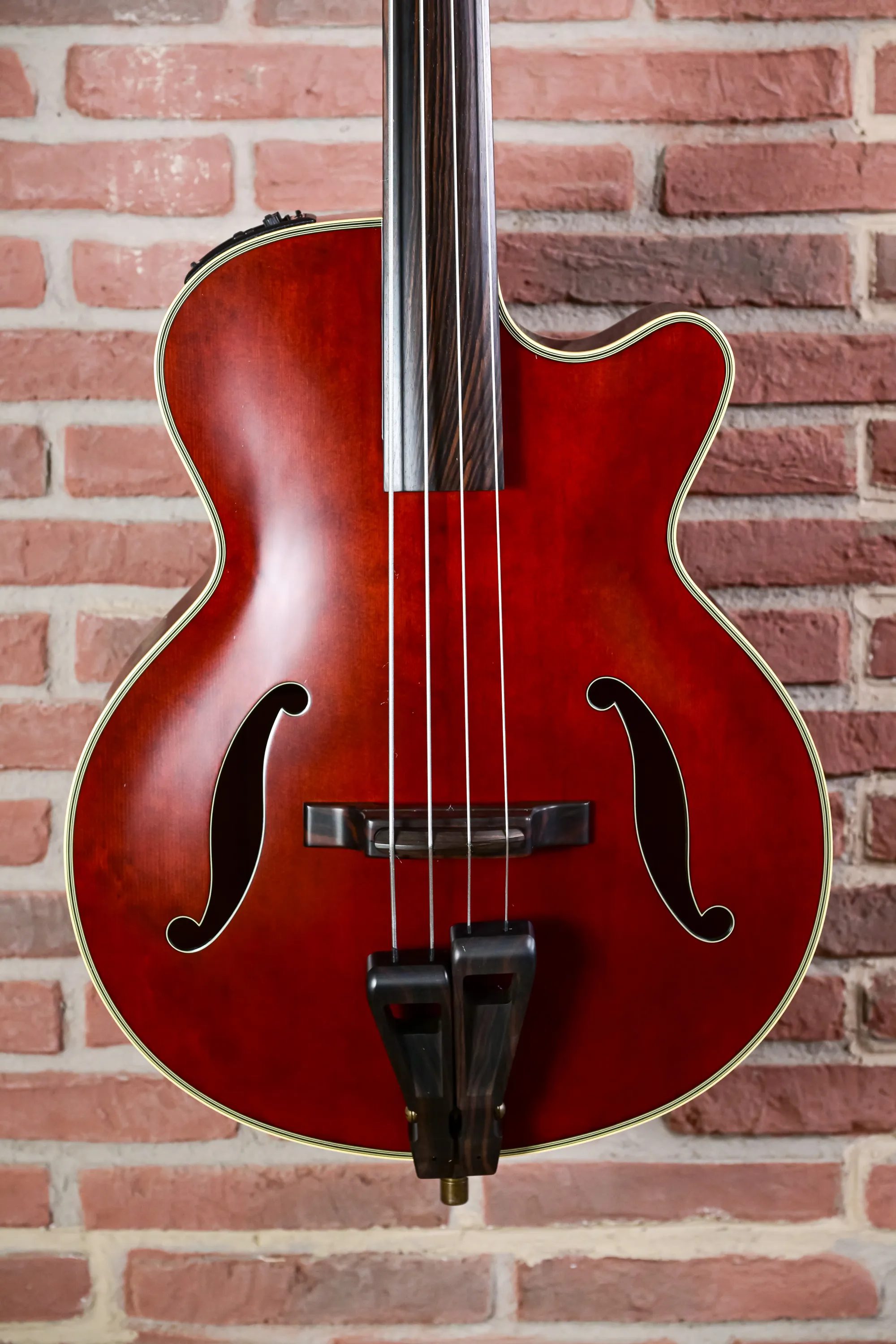 TB10 Fretless Akustik Bass
