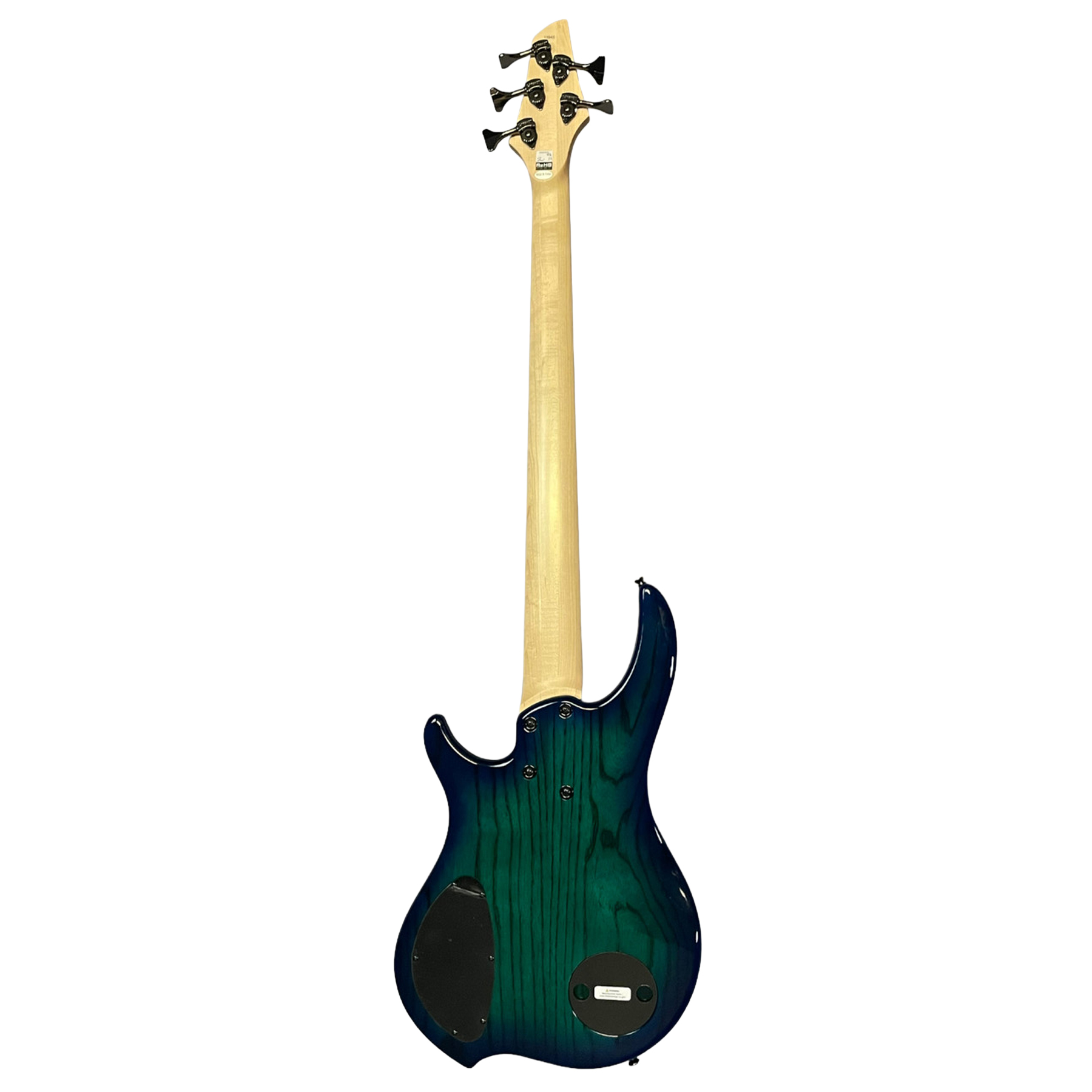 CB3 Combustion 5-String Whalepool Burst