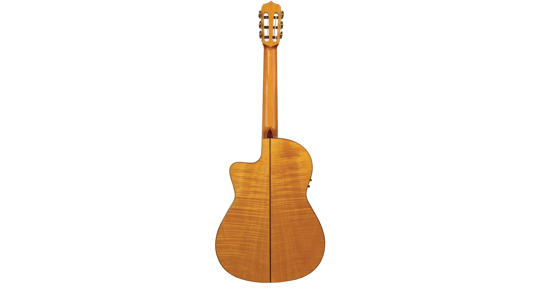 Fusion 12 Maple (Versandrückläufer)