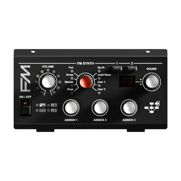 FM Module