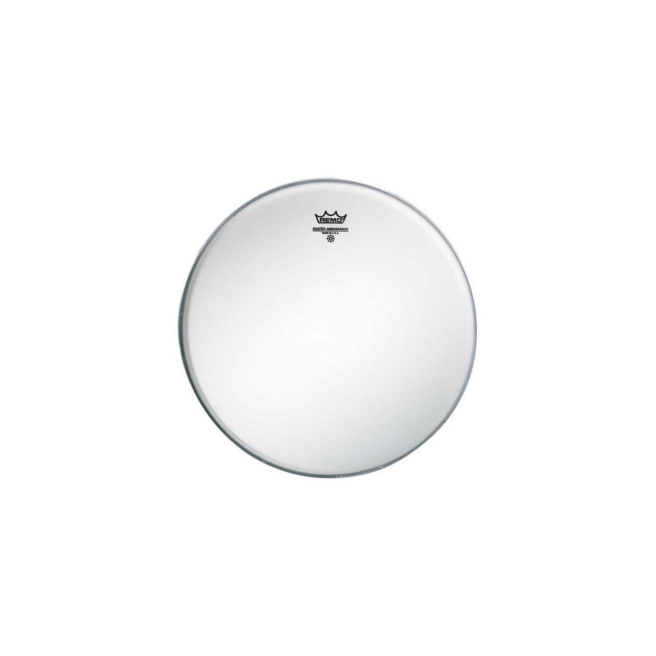 10" Ambassador Coated Tom Fell