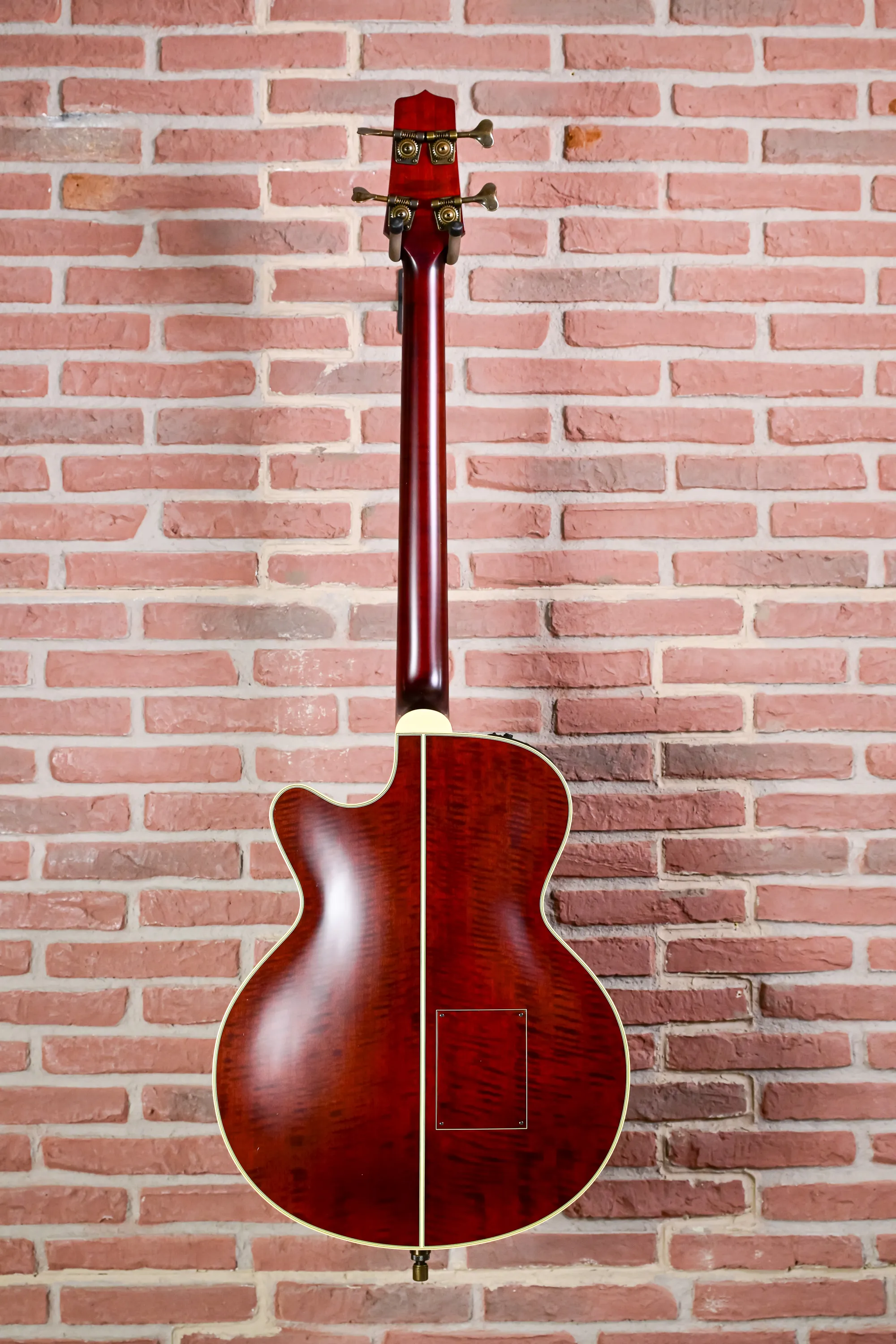 TB10 Fretless Akustik Bass