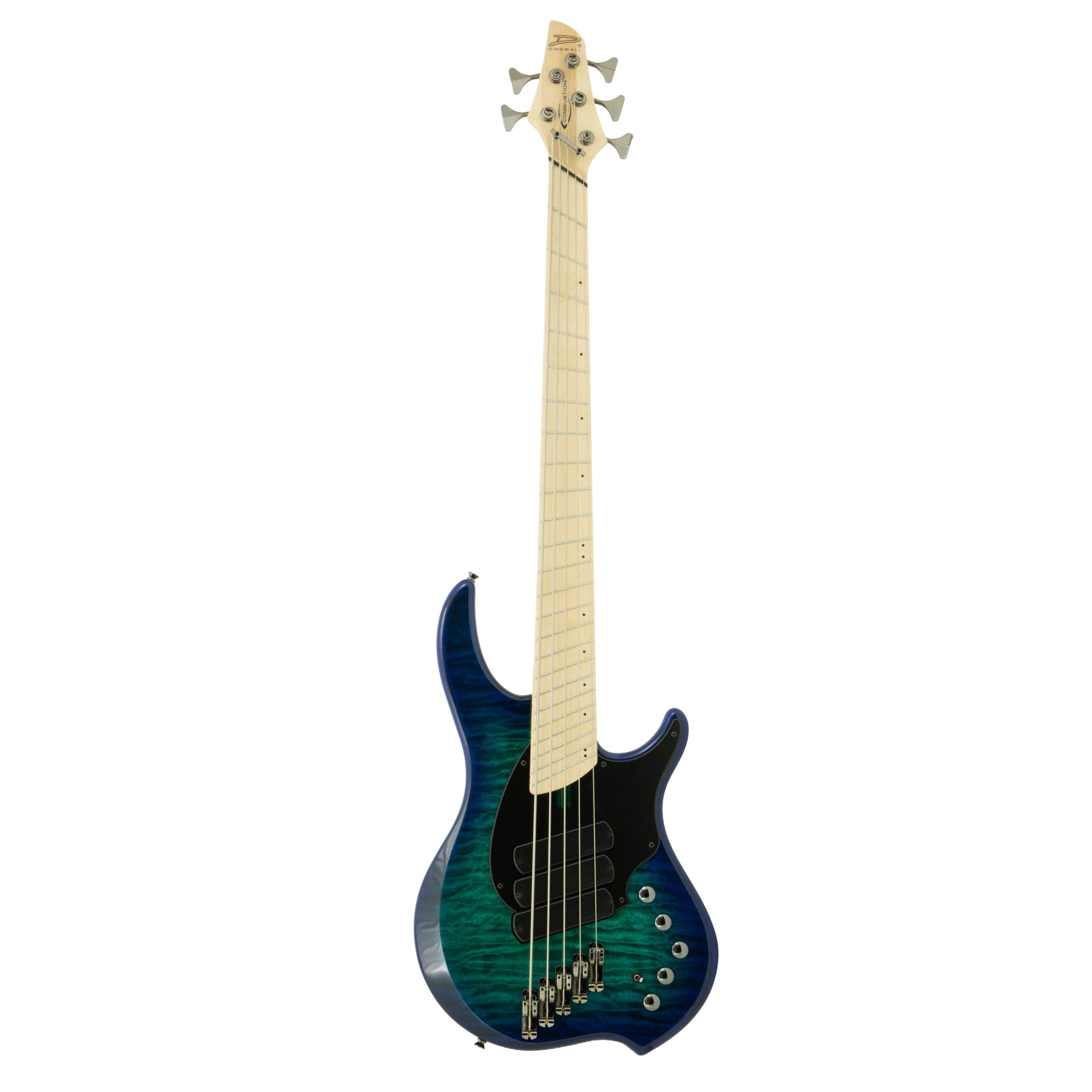 CB3 Combustion 5-String Whalepool Burst