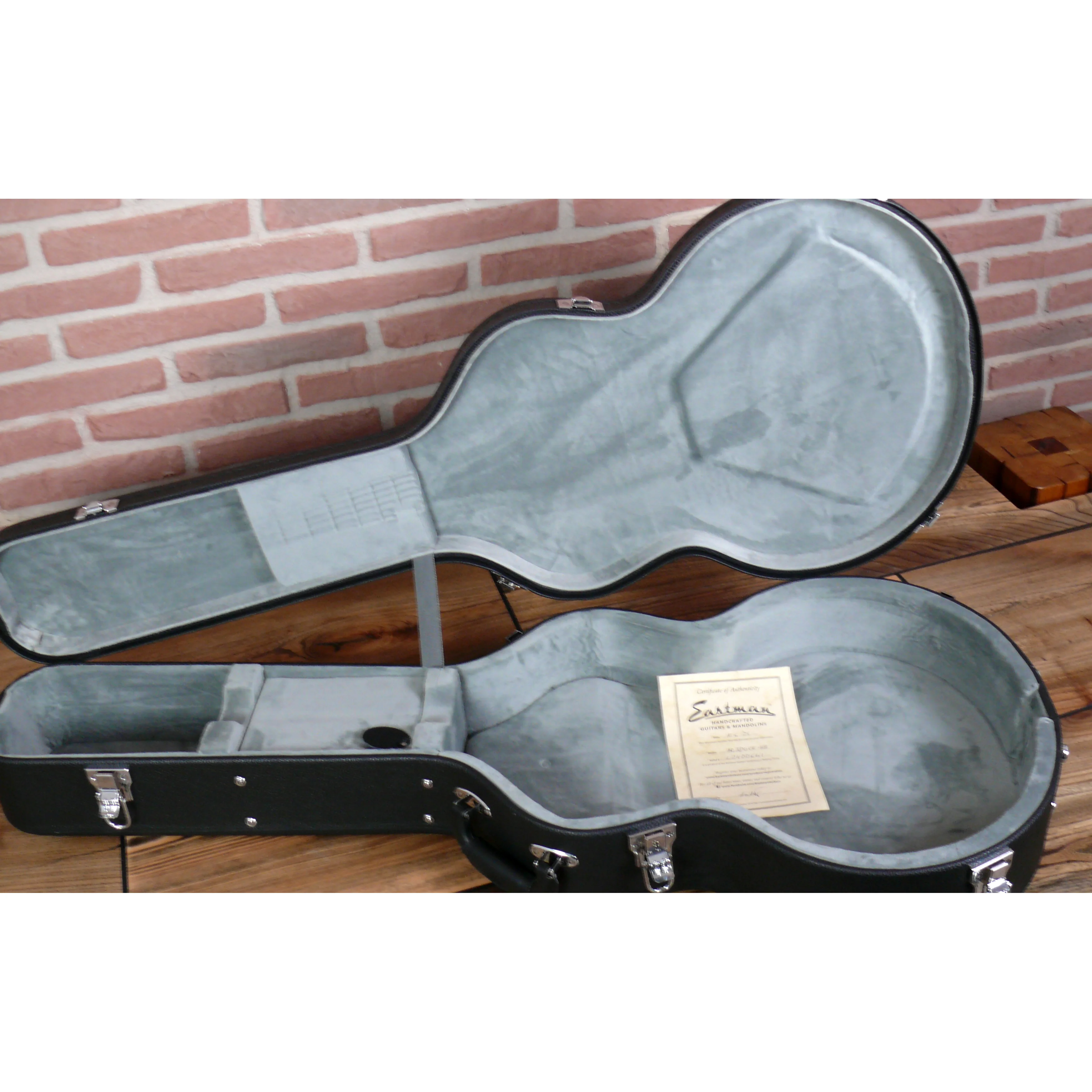 Eastman AR580CE-HB im Hardshell Case geoffnet