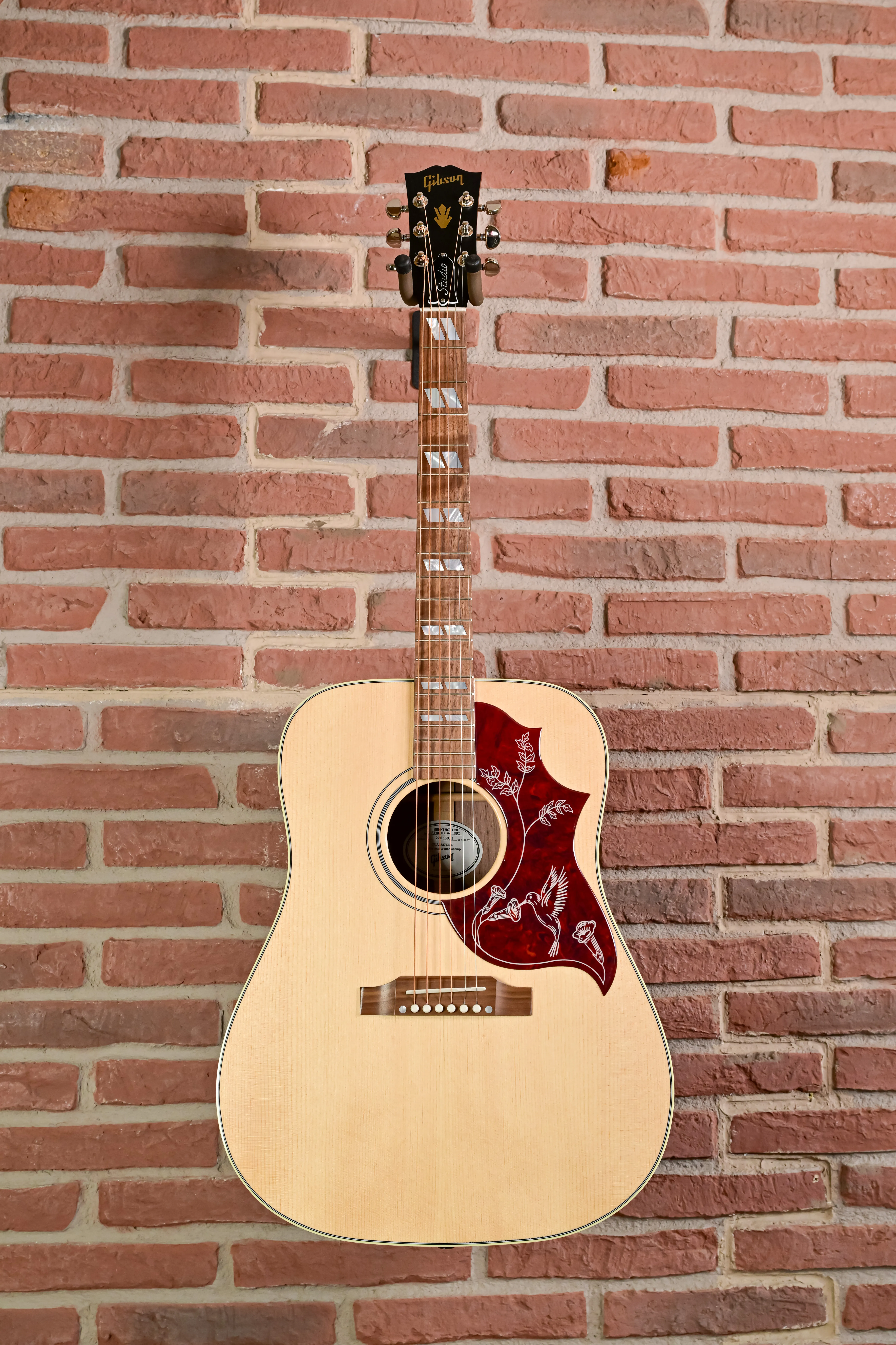 Hummingbird Studio Walnut  Natural