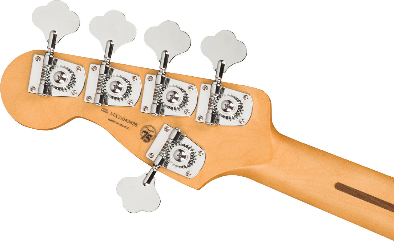 Player Plus Jazz Bass® V, Pau Ferro Fingerboard, Tequila Sunrise