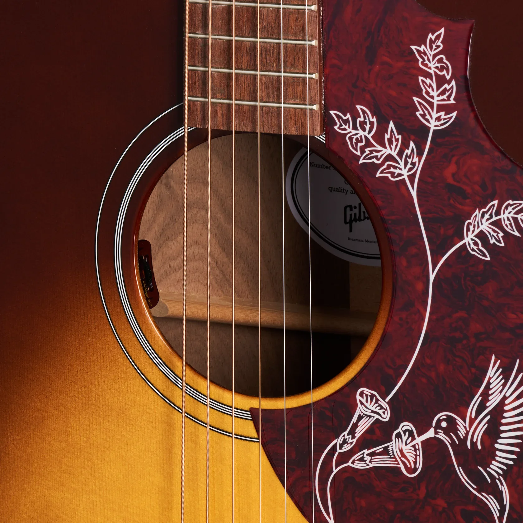 Hummingbird Studio Walnut  Burst