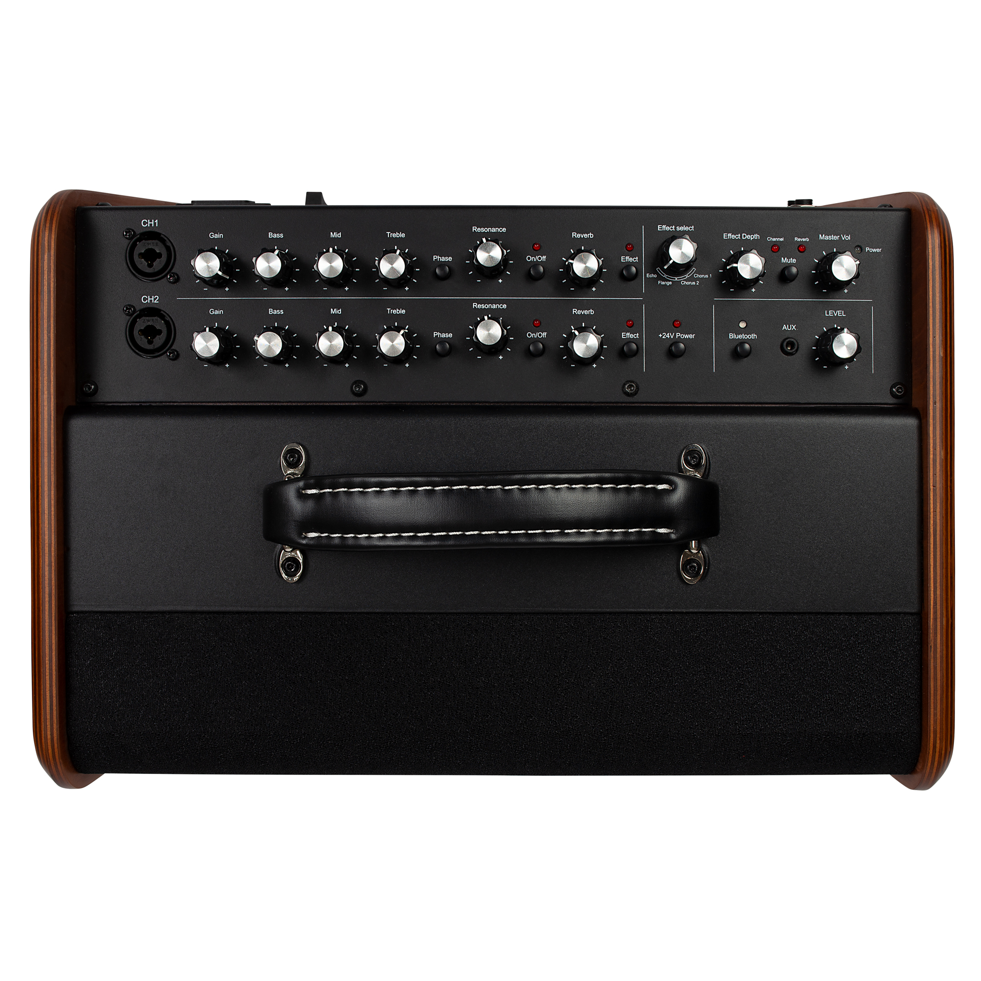 Godin ASG-8 120 Wood  Obenansicht