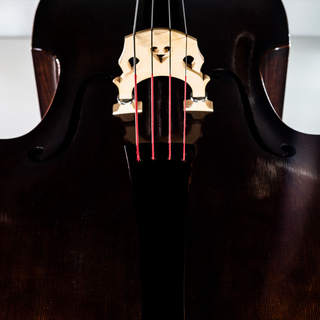 S42 Spirocore Bass 4/4 M