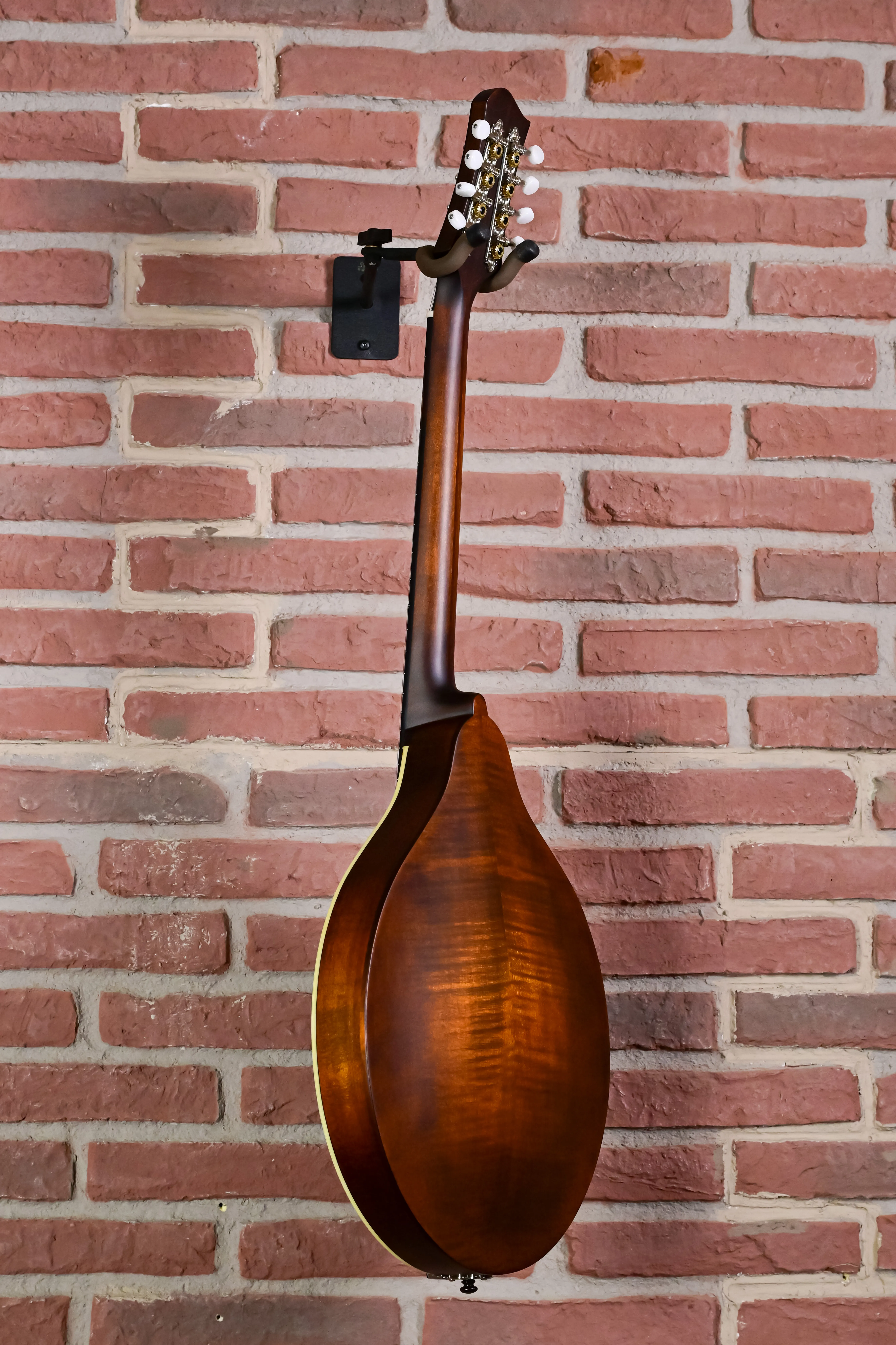 MDO305 Oktav-Mandoline A-Style