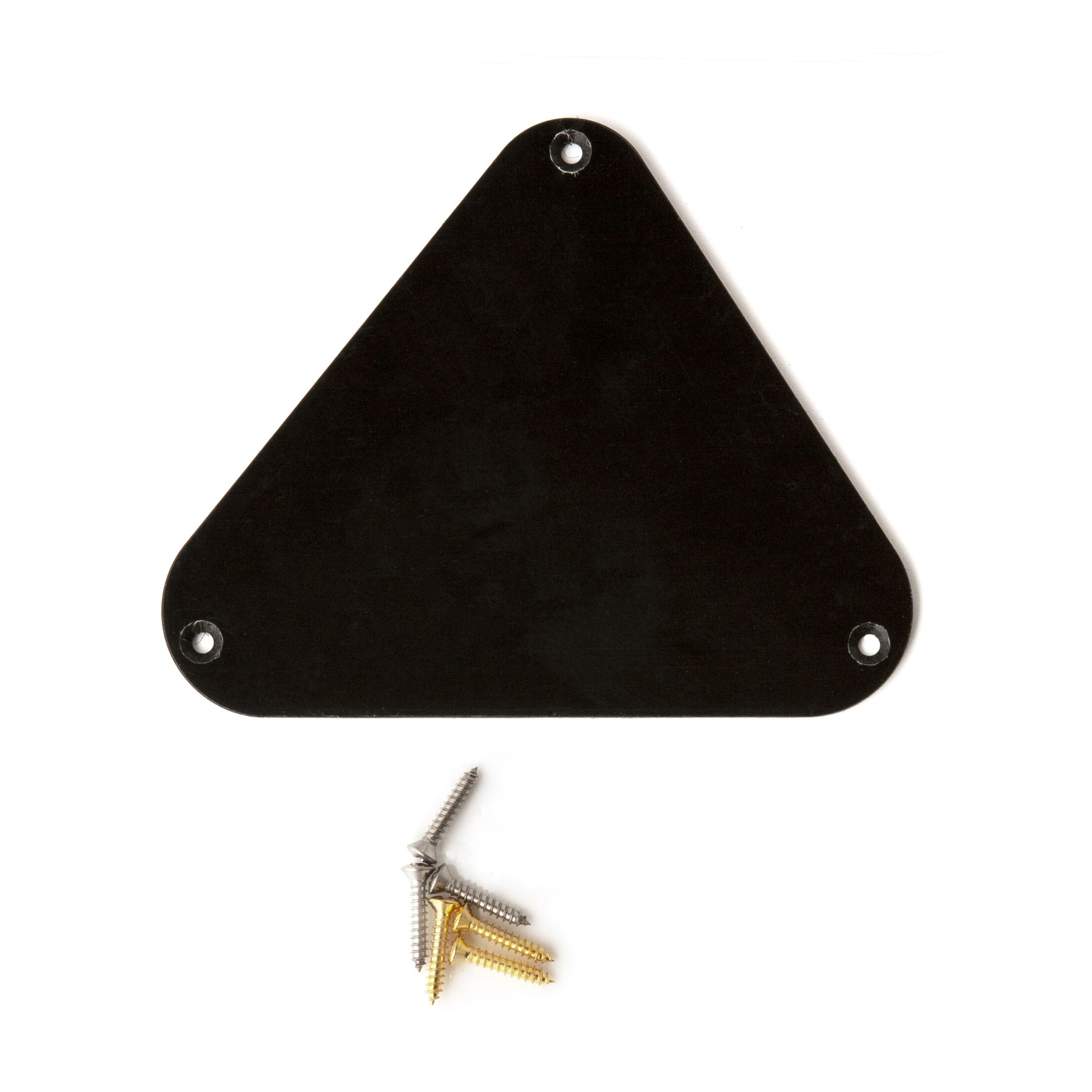 Electronics Backplate (Santana, Zappa)