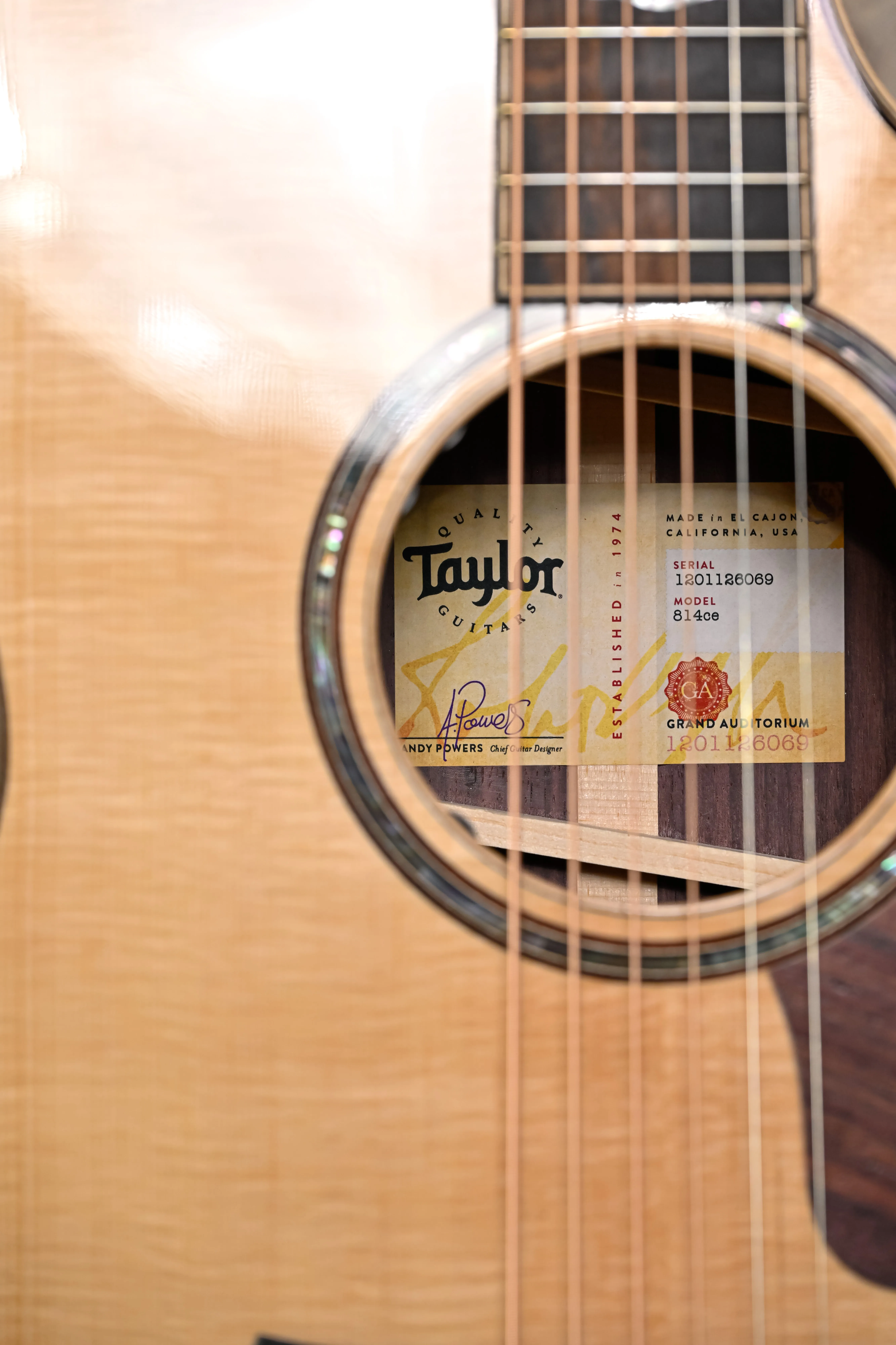 Taylor 814ce Westerngitarre Nahaufnahme Schallloch