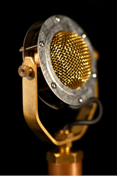 EAR Trumpet Labs Delphina - Großmembran-Kondensatormikrofon