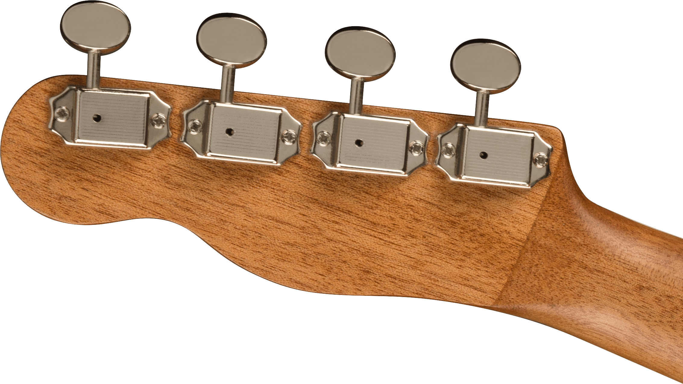 Zuma Exotic Concert Ukulele, Walnut Fingerboard, Spalted Maple