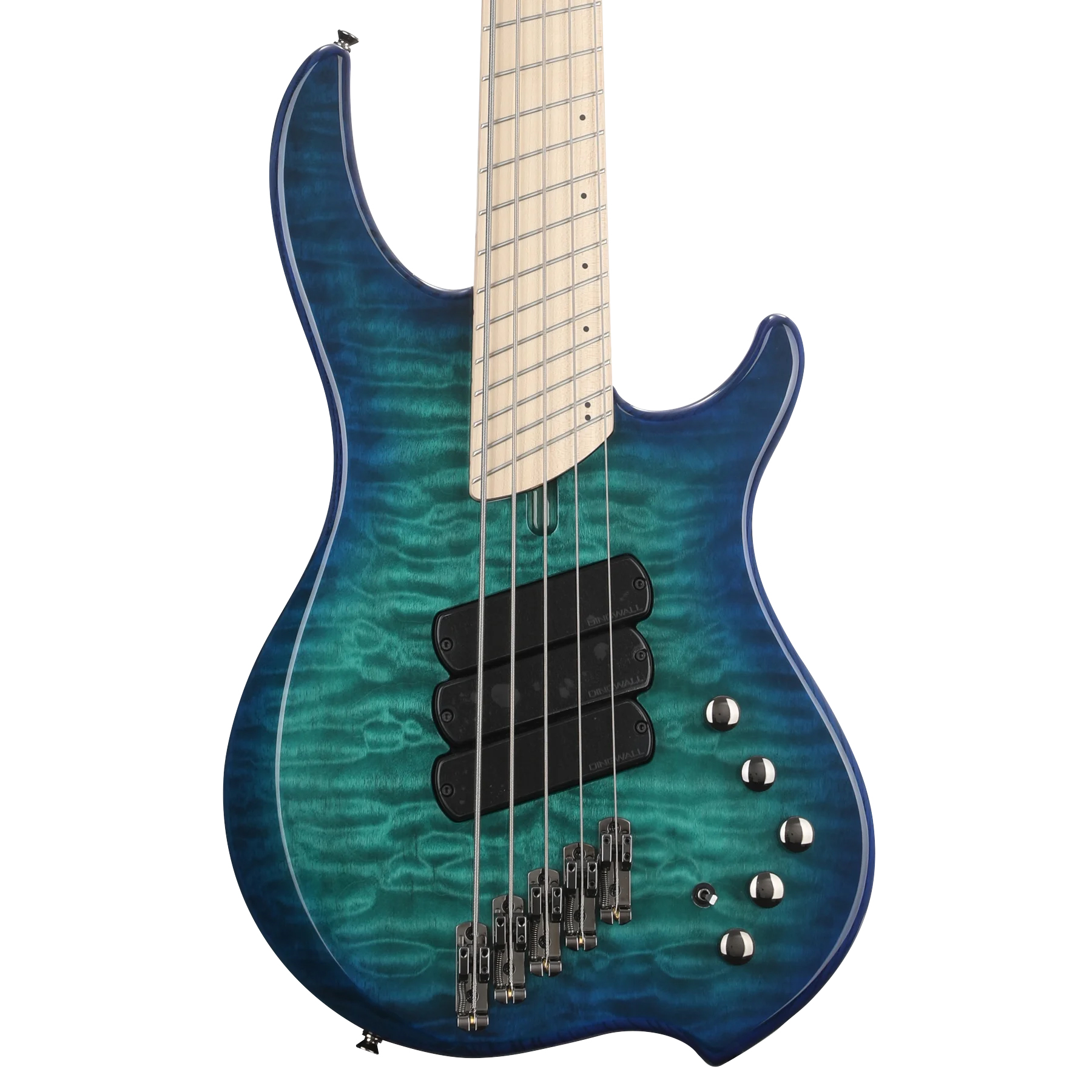 CB3 Combustion 5-String Whalepool Burst