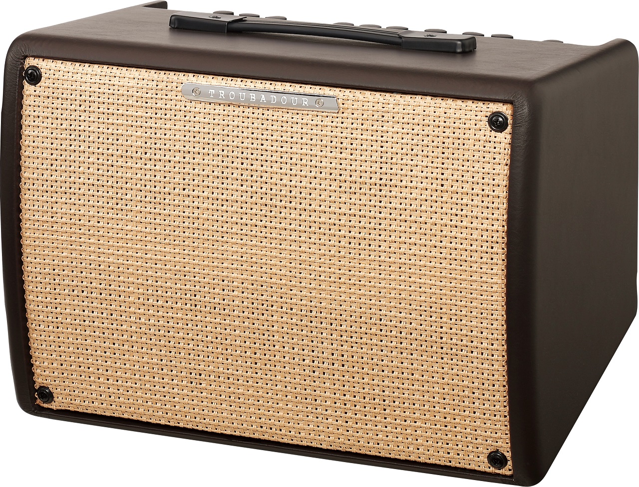 T30II Akustikverstärker Troubadour 30 Watt