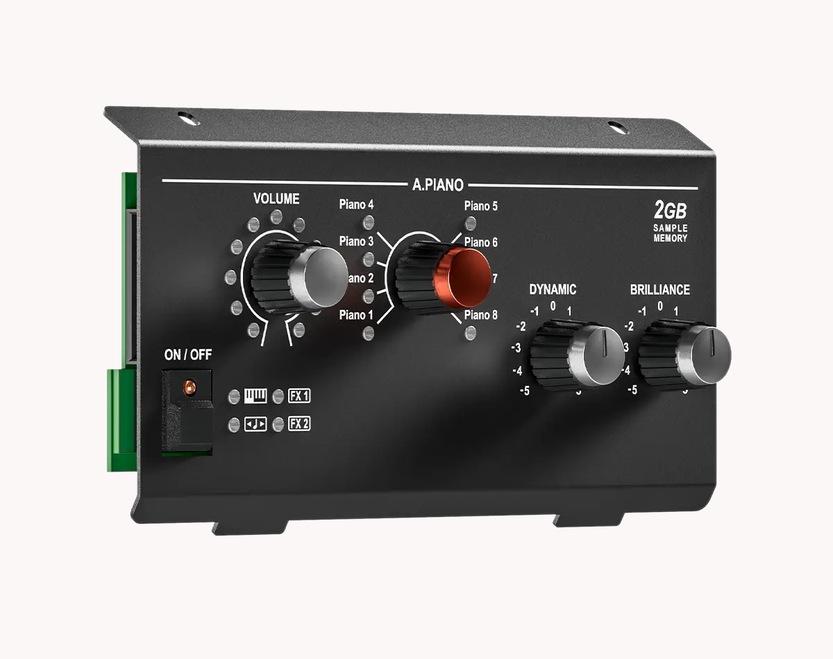 Acoustic Piano Module 2GB