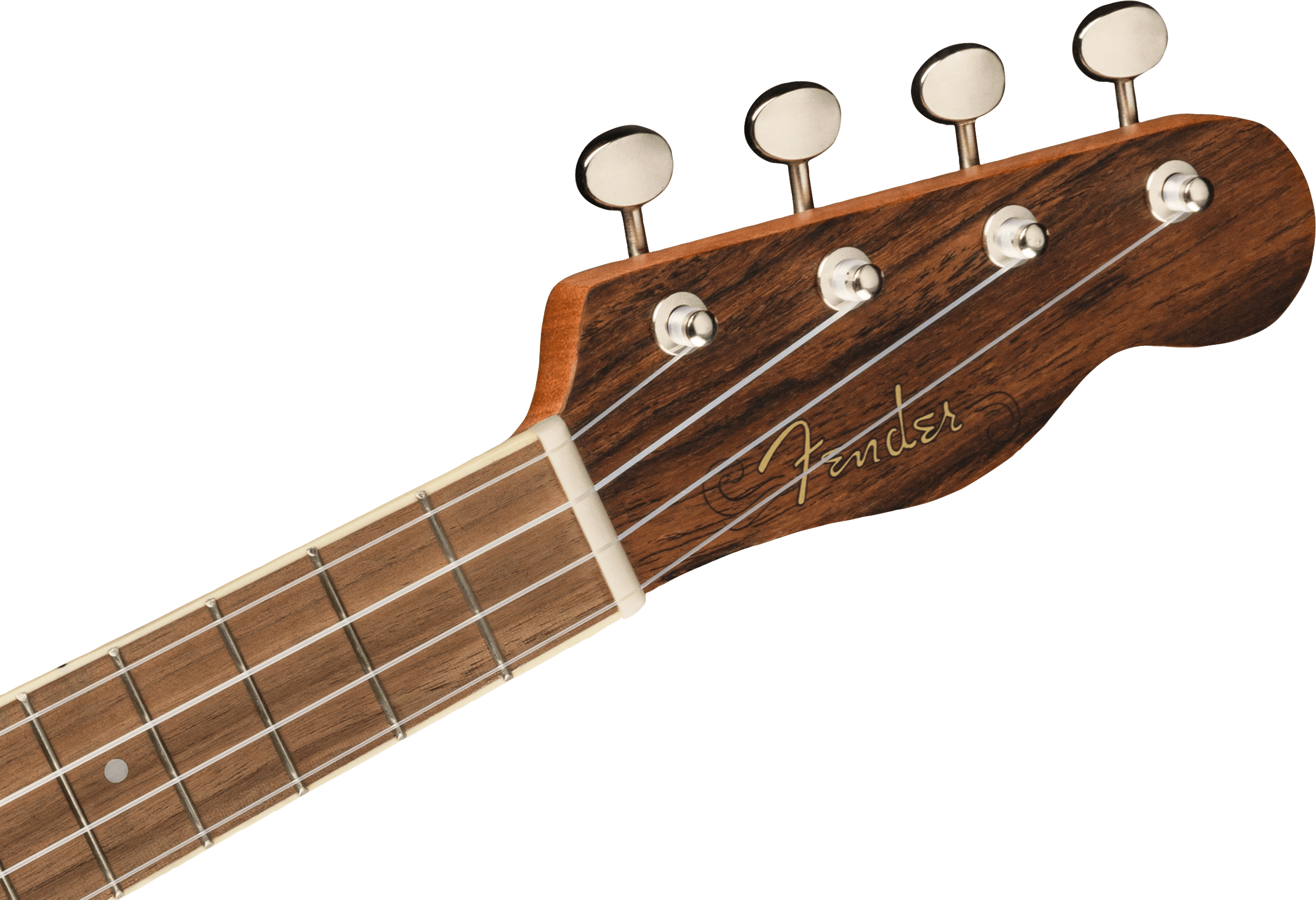 Zuma Exotic Concert Ukulele, Walnut Fingerboard, Bocote
