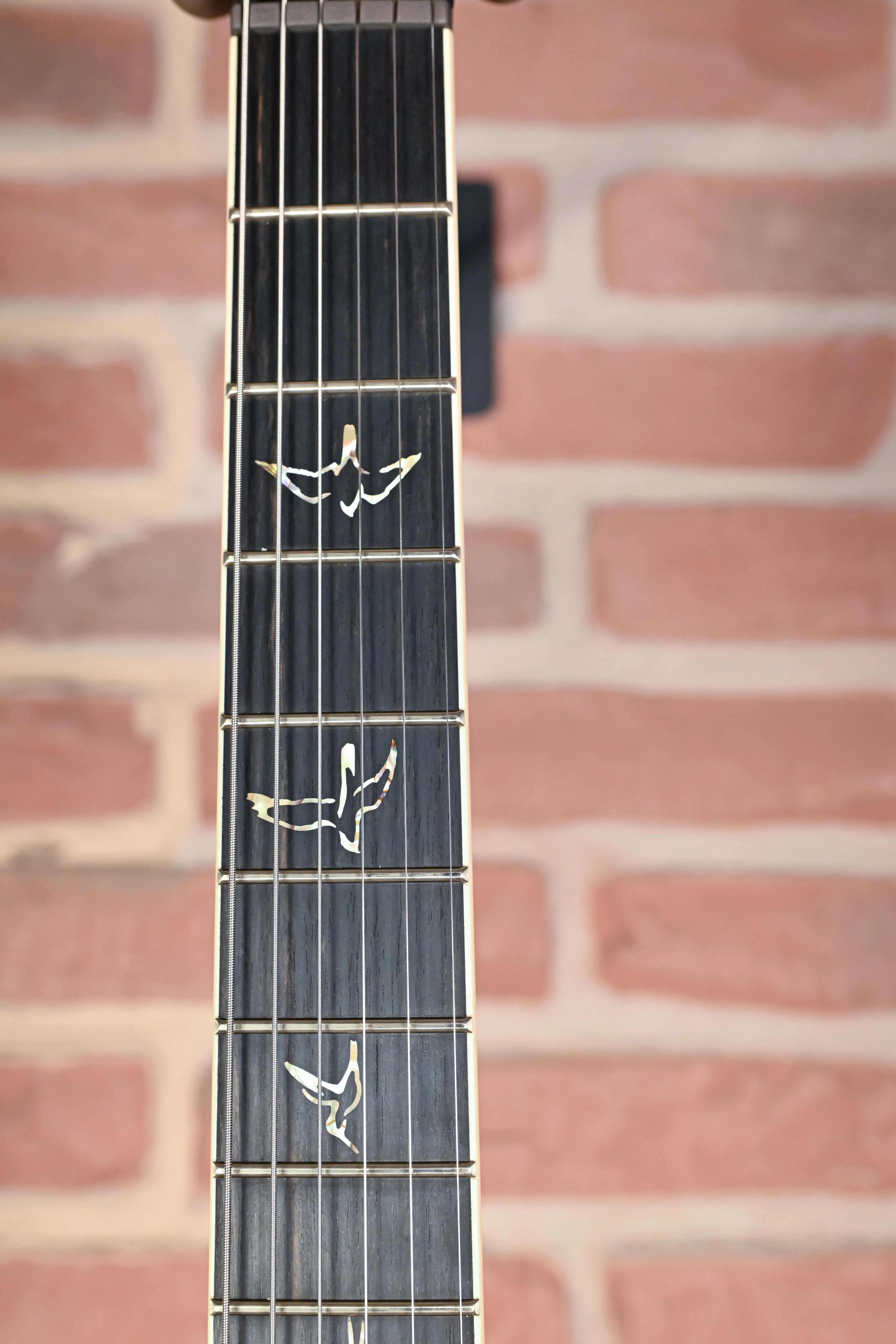 Mark Holcomb Holcomb Wraparound Burst