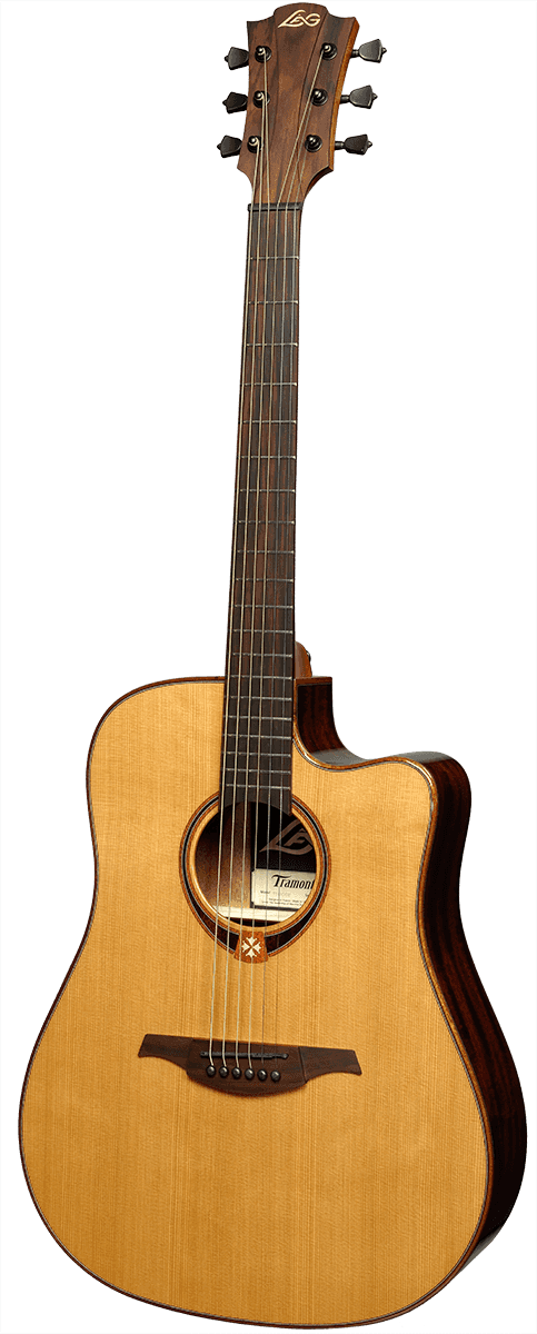 T118DCE Dreadnought Cutaway Natural