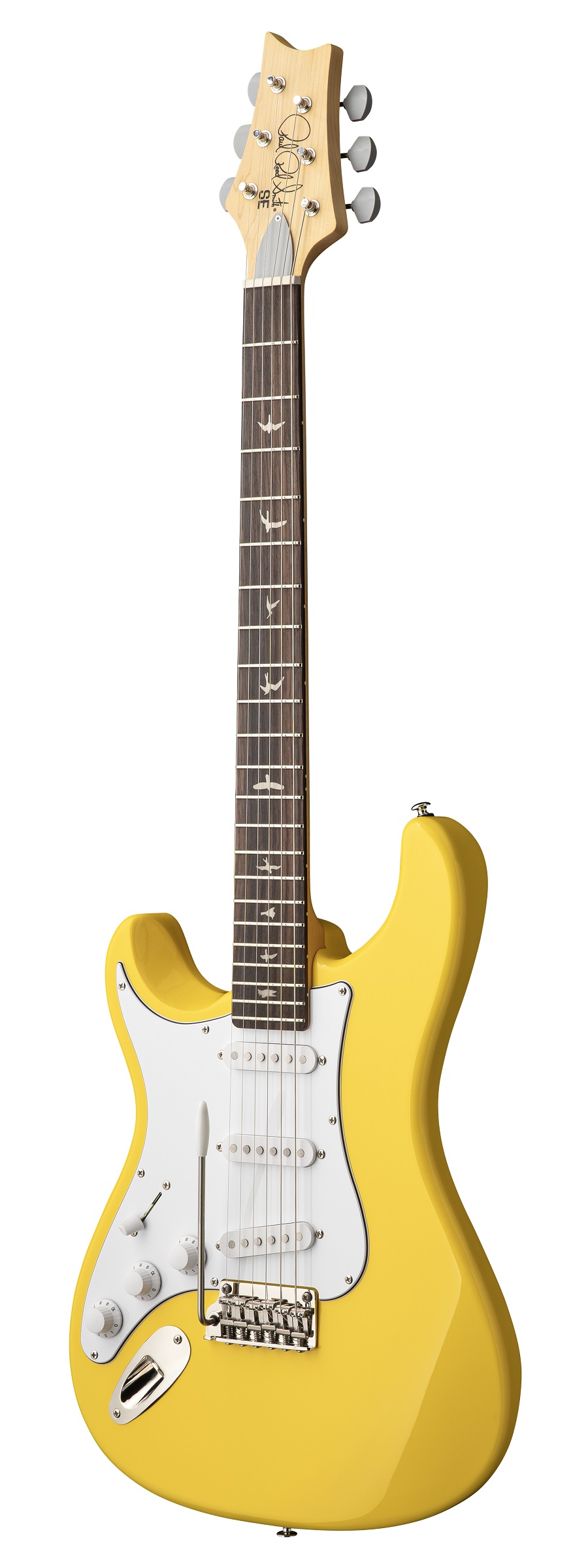 SE Silver Sky  Lefthand Dandy  Lion