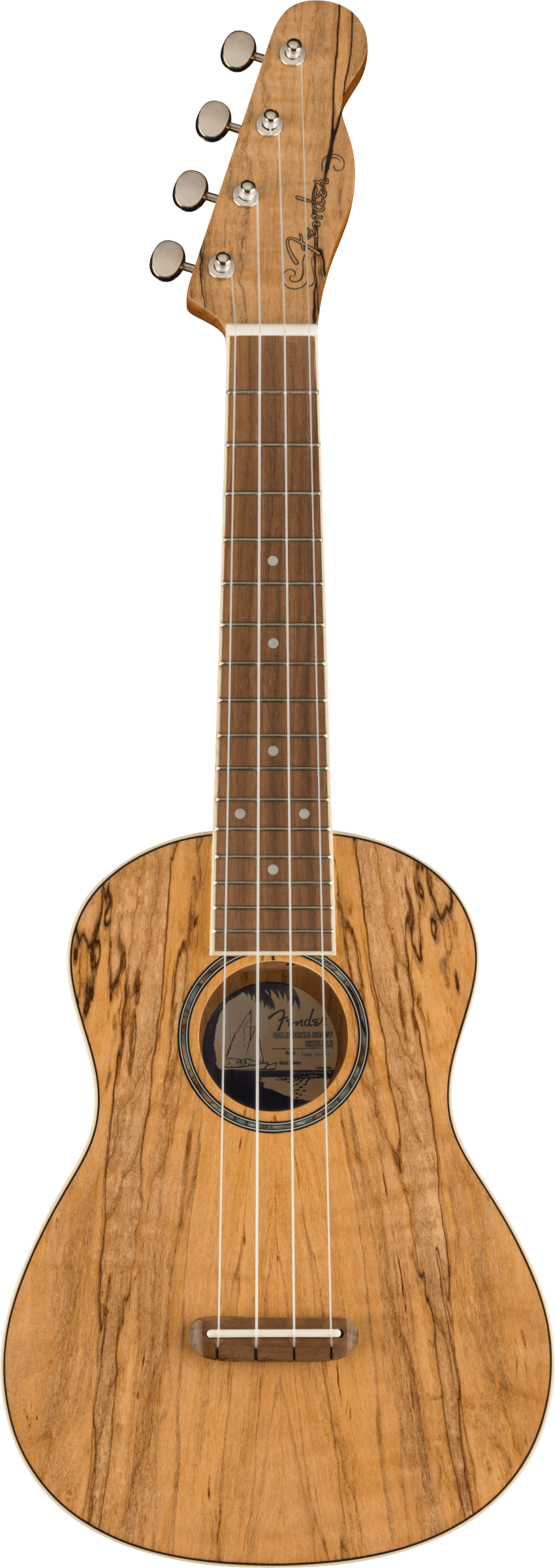 Zuma Exotic Concert Ukulele, Walnut Fingerboard, Spalted Maple