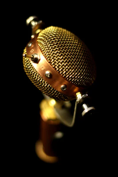 Mabel - Multi-Pattern Großmembran-Kondensatormikrofon 