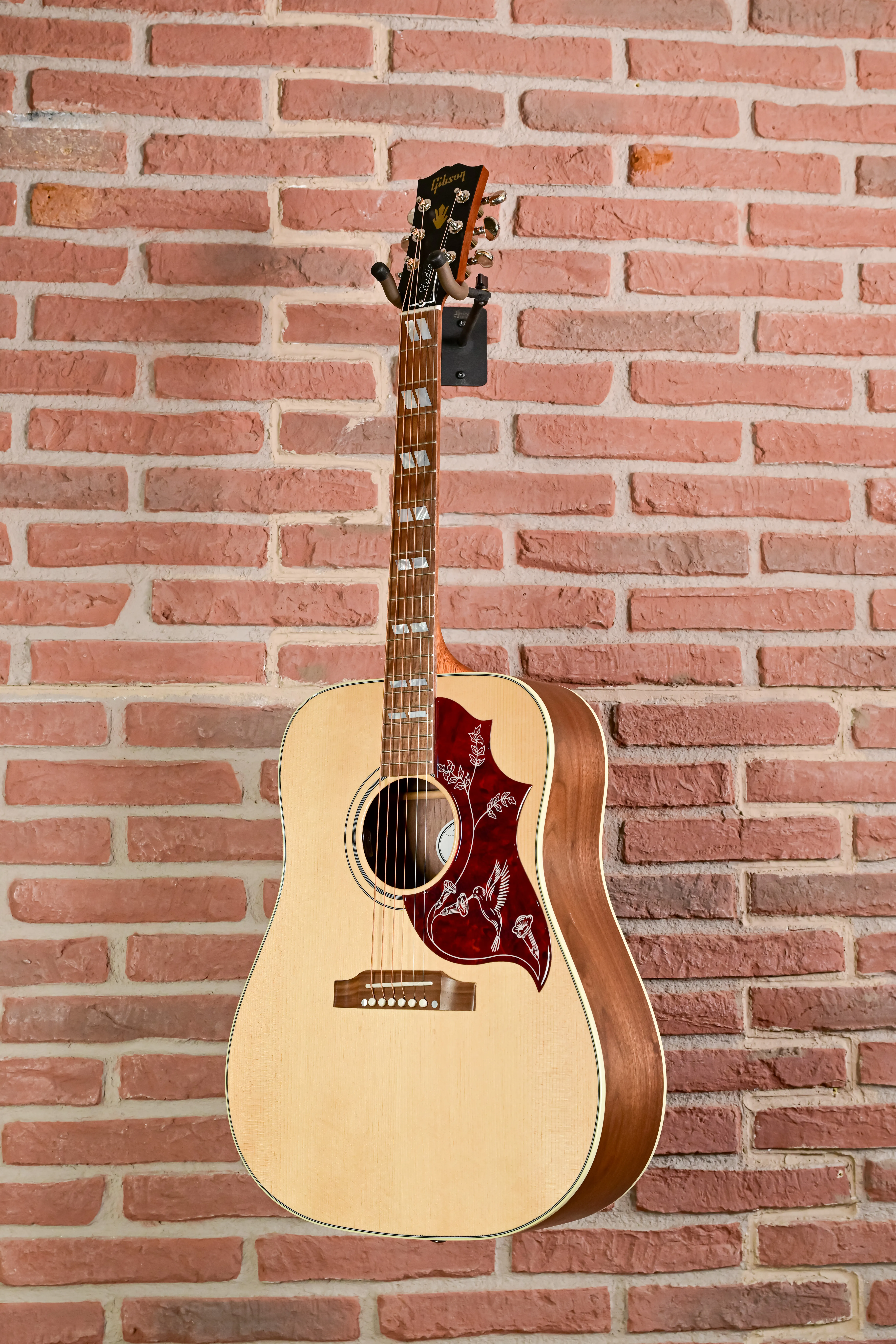 Hummingbird Studio Walnut  Natural