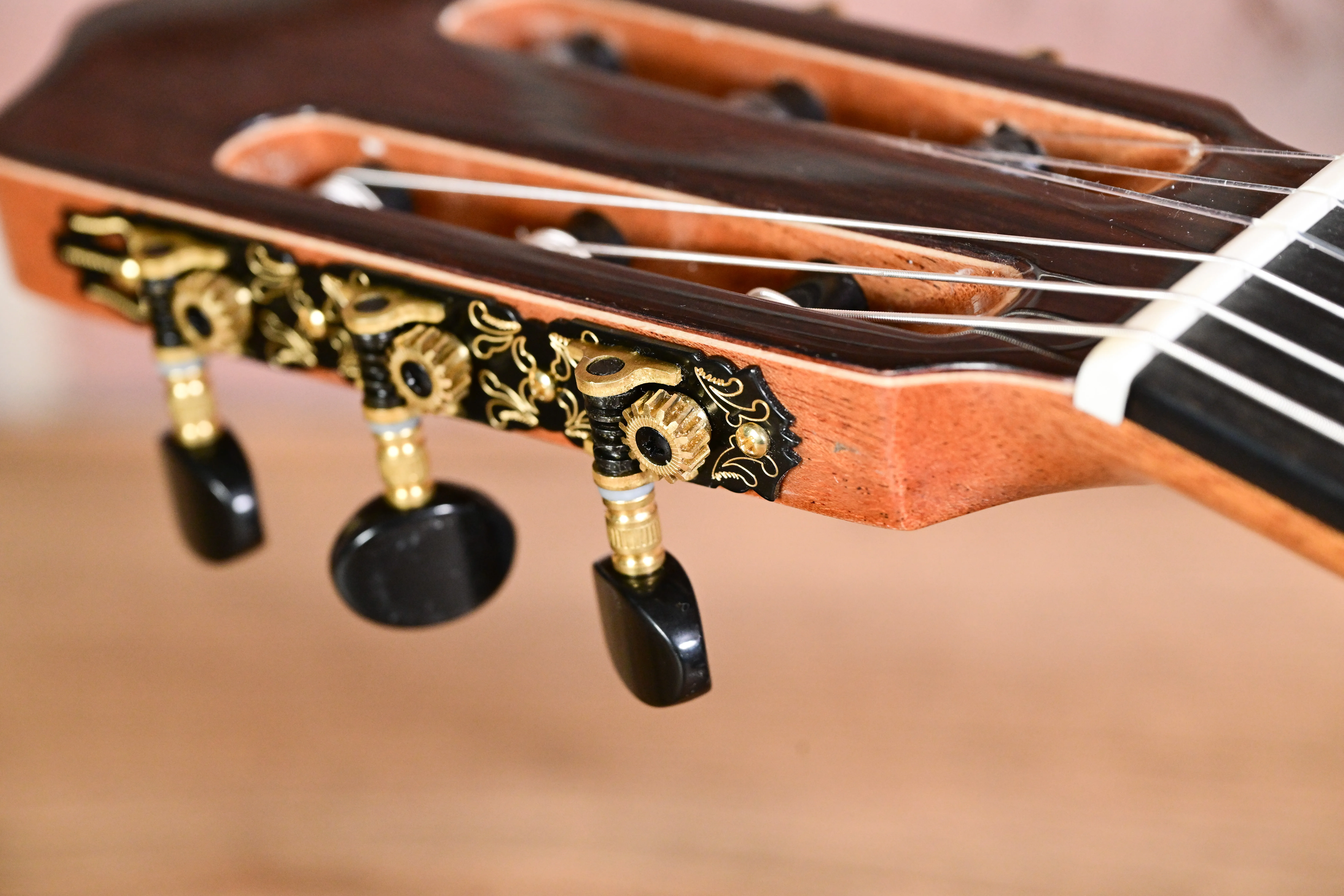Rosa Artista RA Flamencogitarre