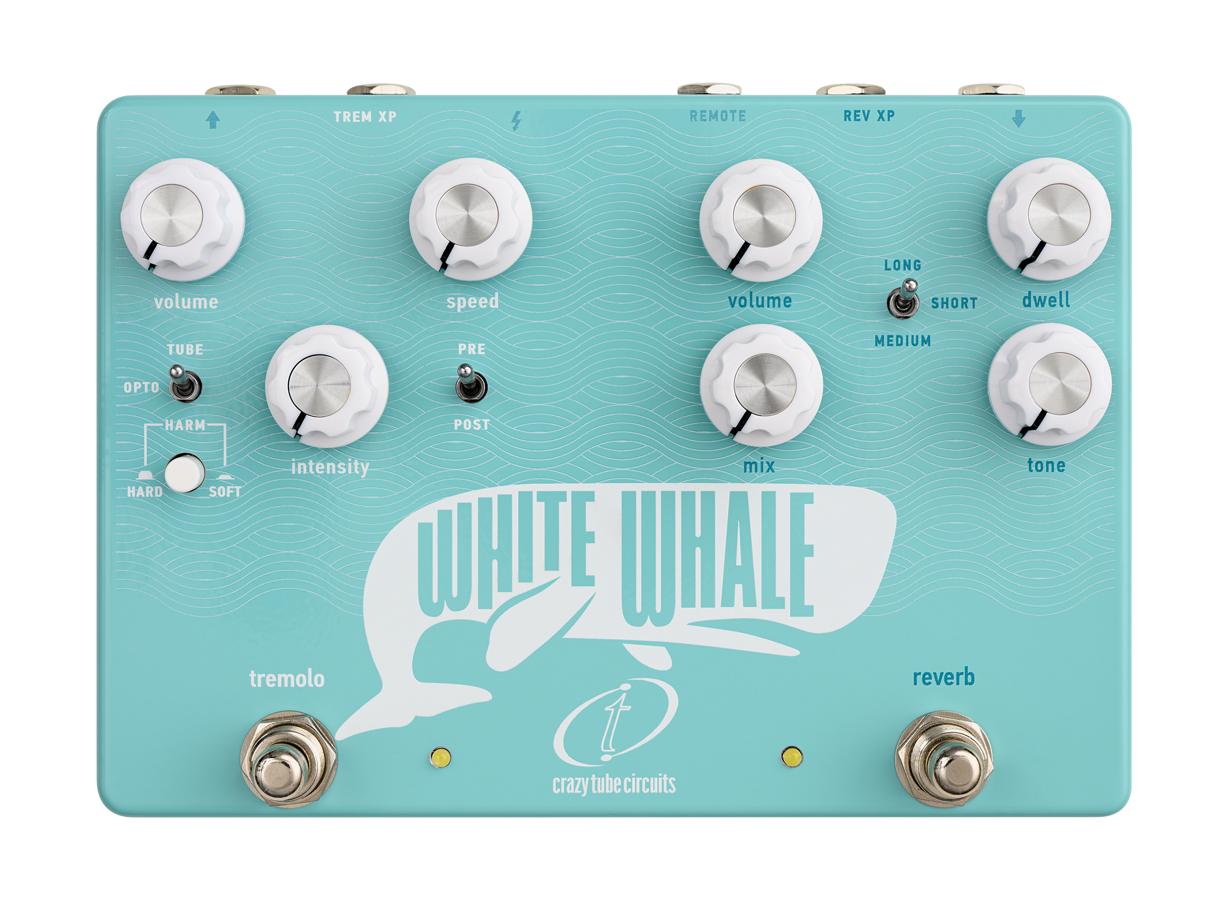 White Whale  V2