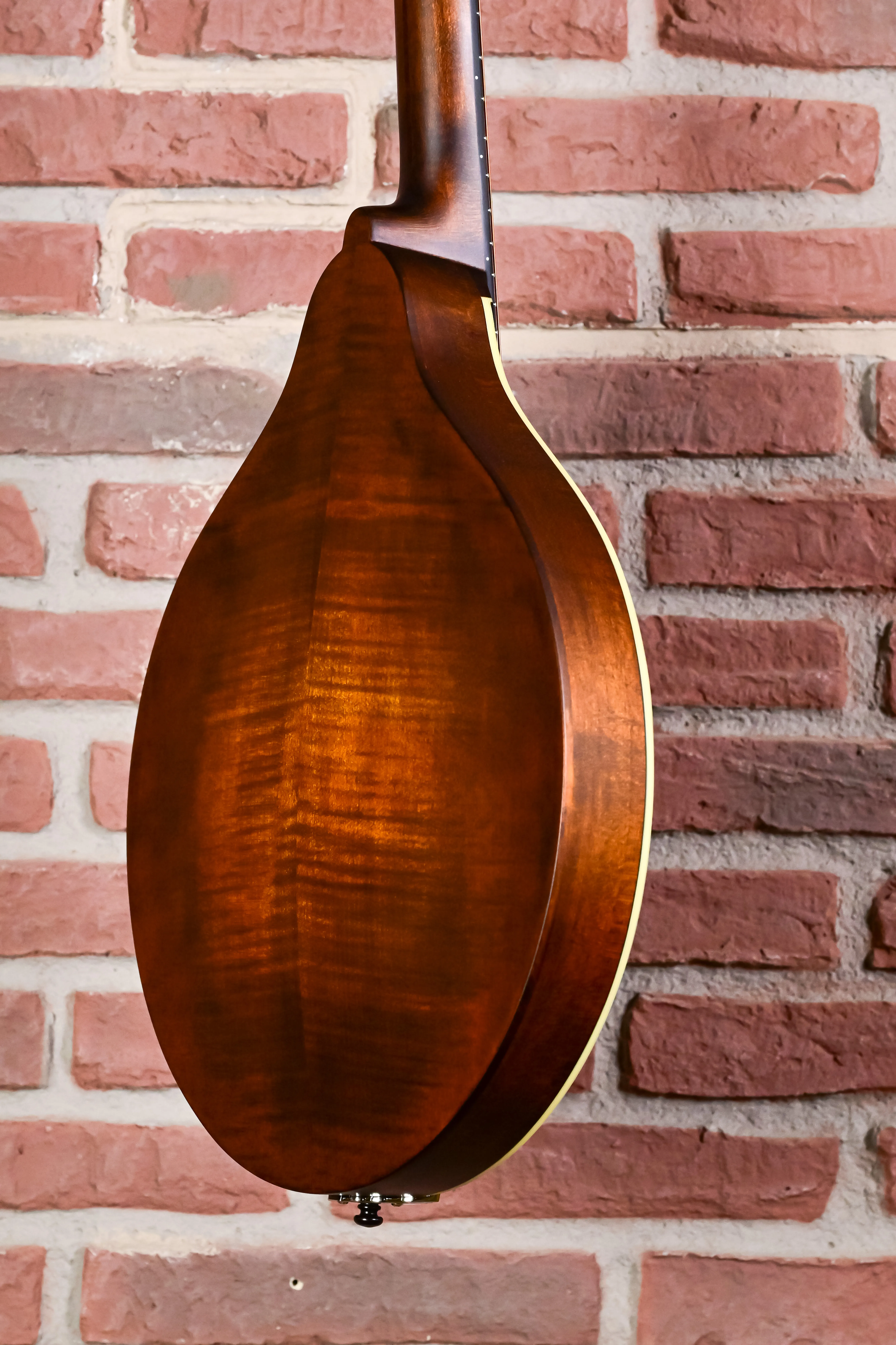 MDO305 Oktav-Mandoline A-Style