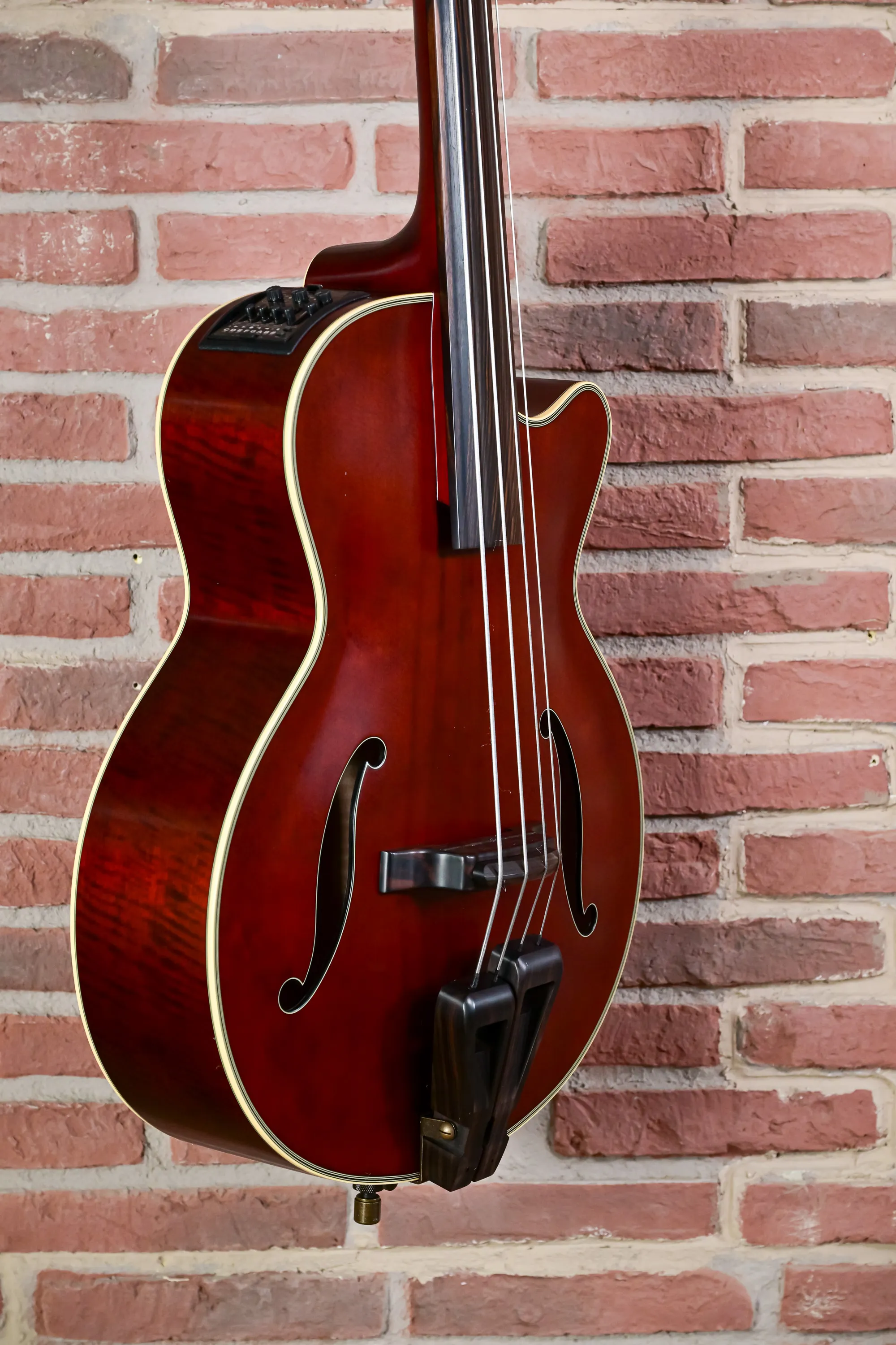 TB10 Fretless Akustik Bass