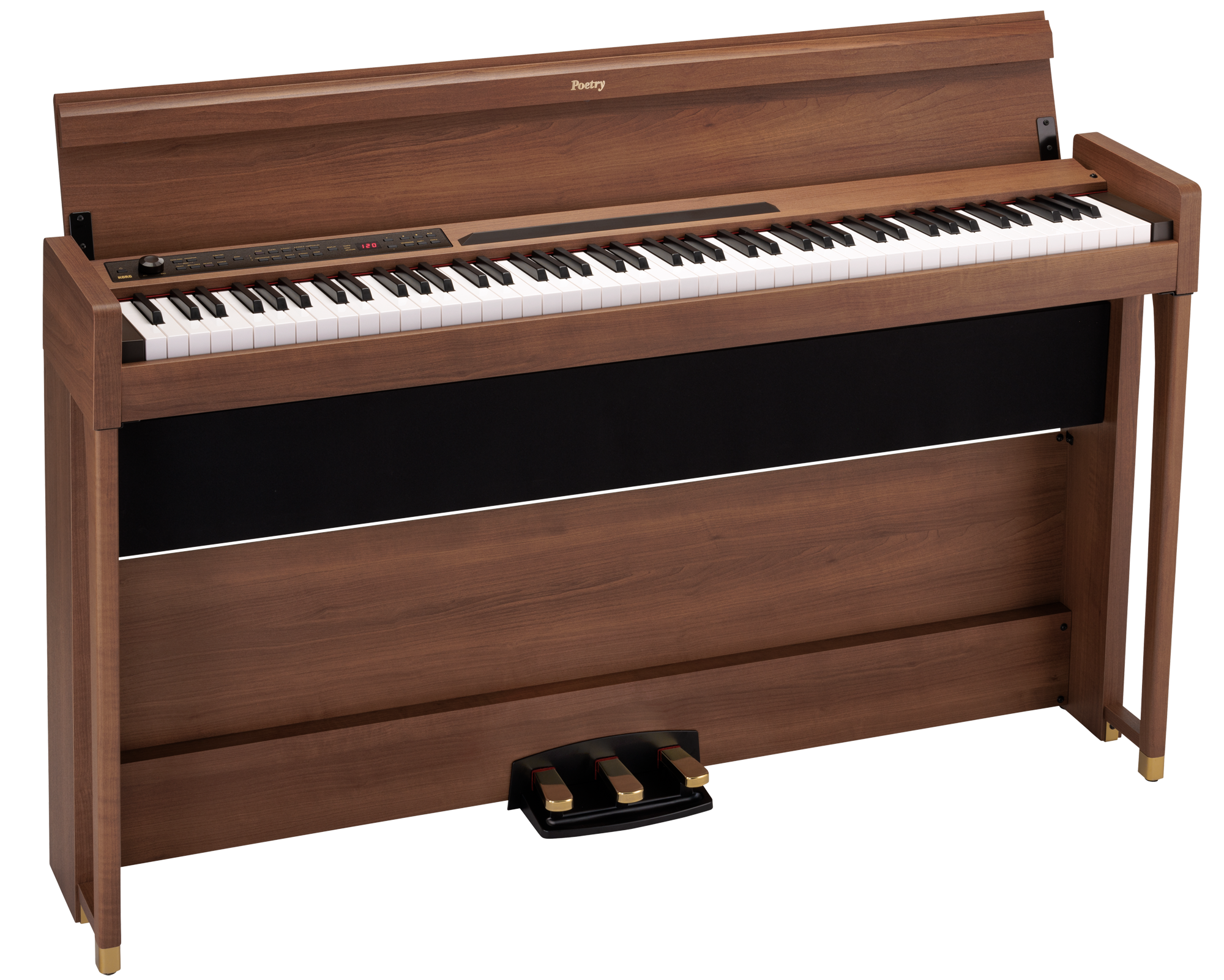 Poetry Digitalpiano in Poetic Braun